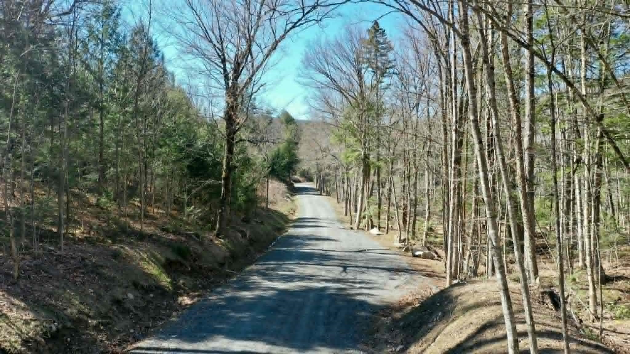00 Turkey Mountain Road Property Photo 15