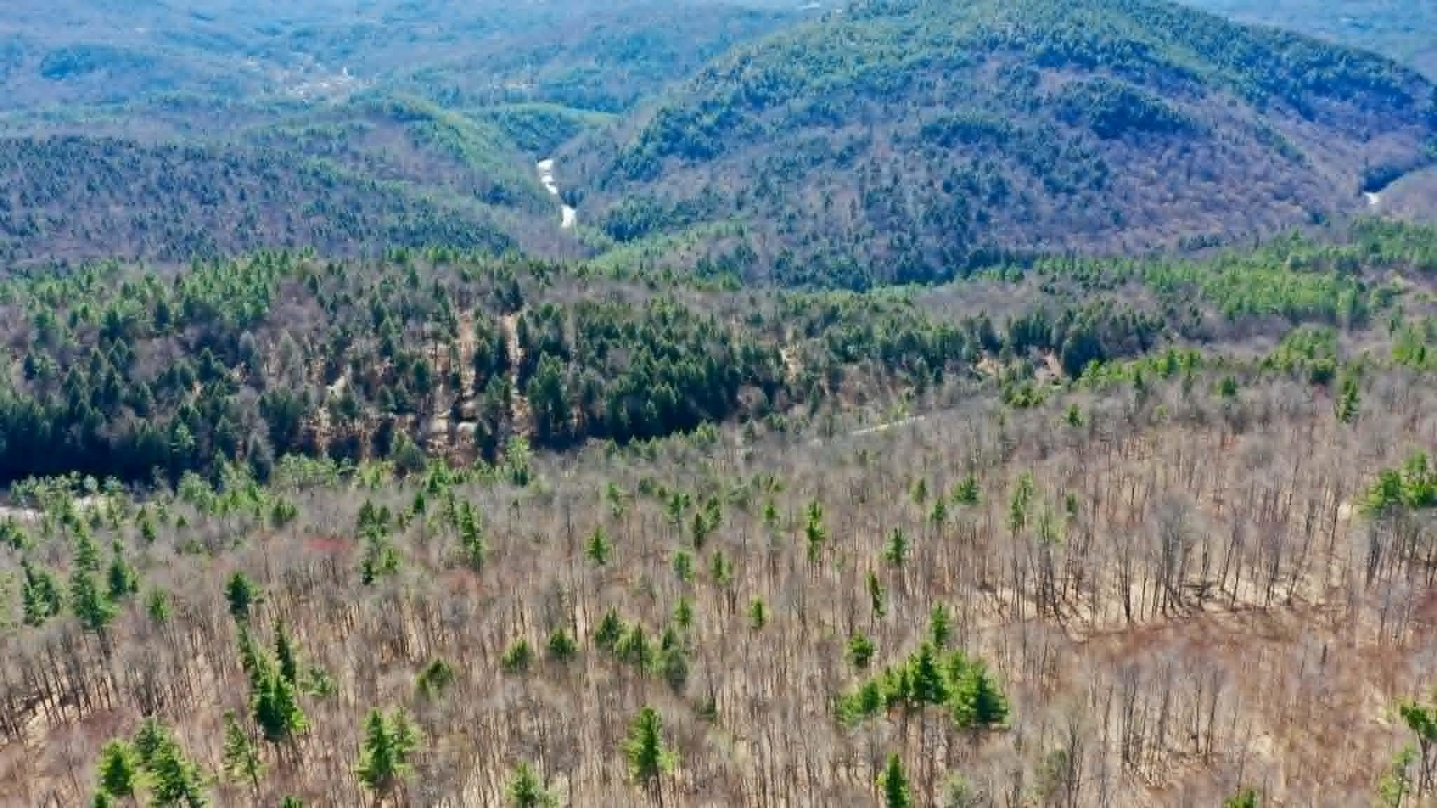 00 Turkey Mountain Road Property Photo 16