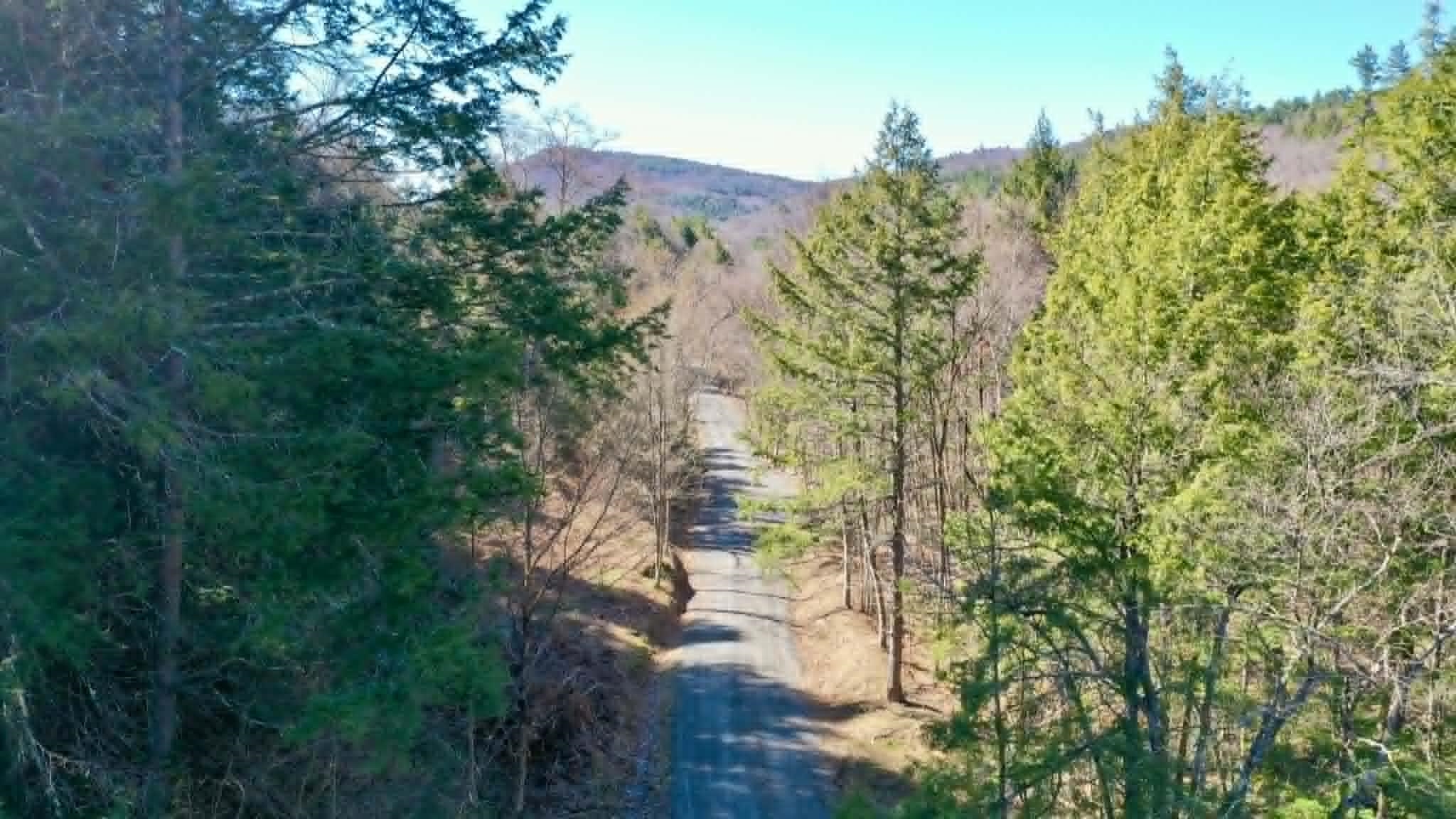 00 Turkey Mountain Road Property Photo 17