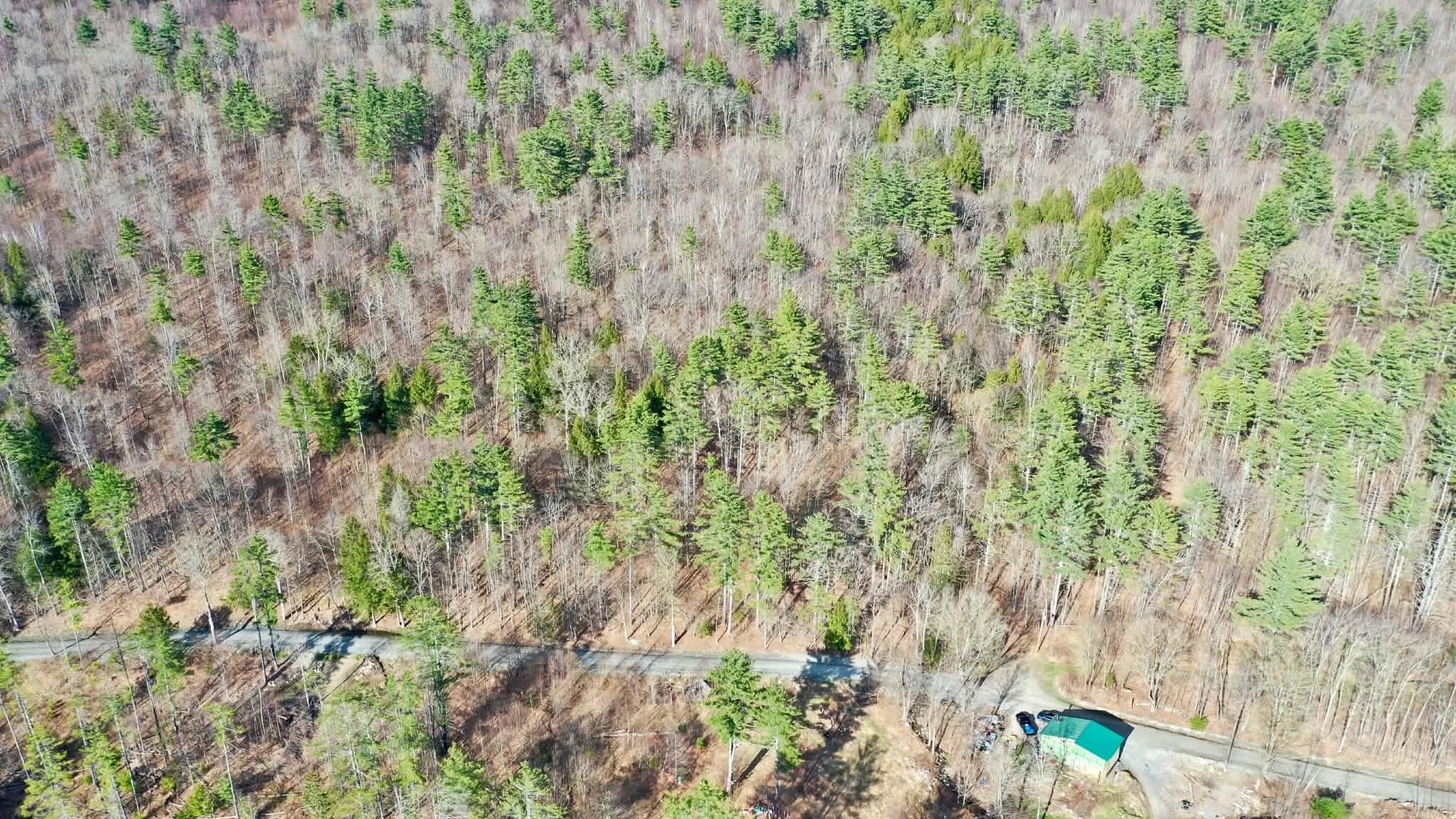 00 Turkey Mountain Road Property Photo 18