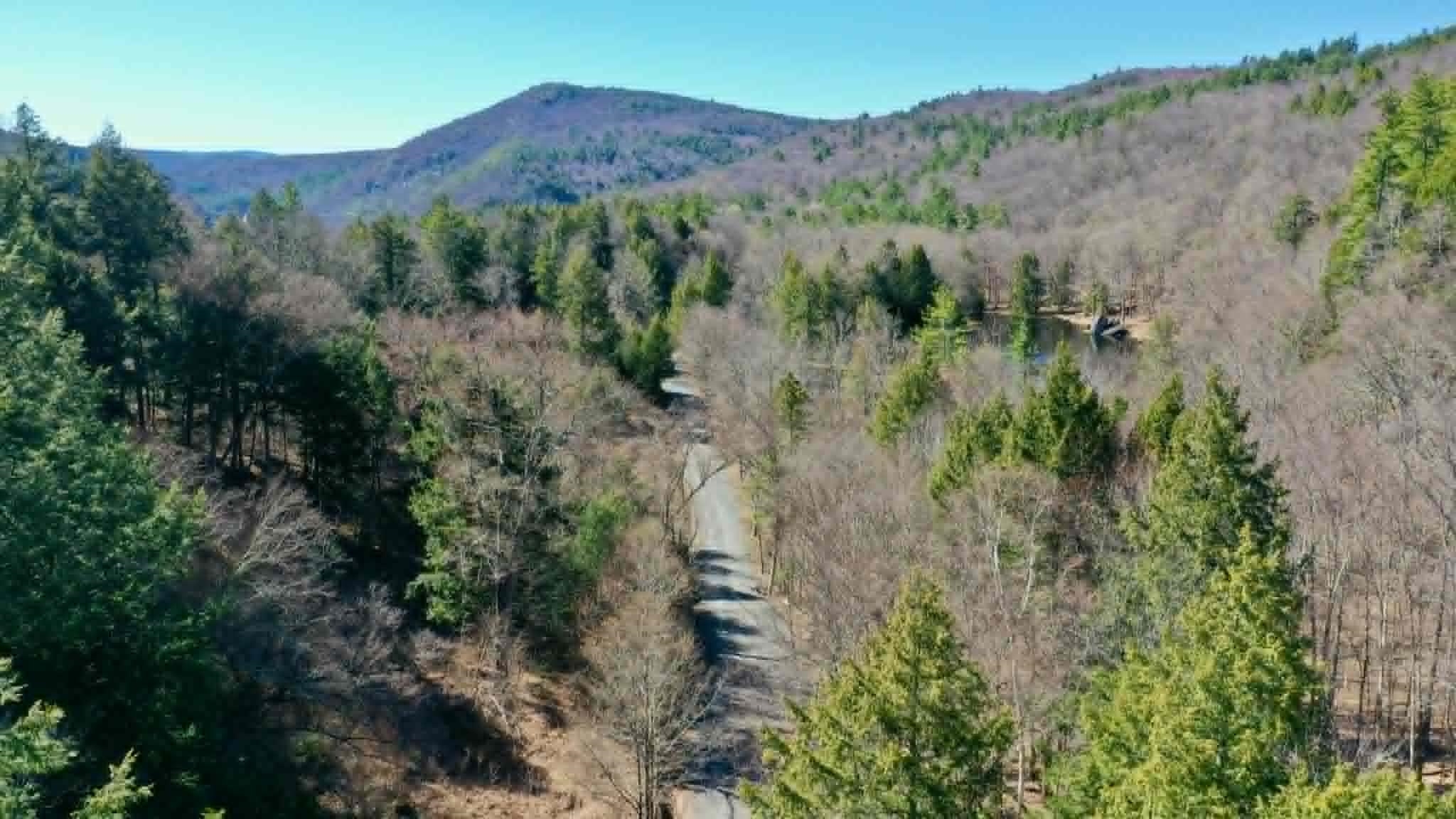 00 Turkey Mountain Road Property Photo 19