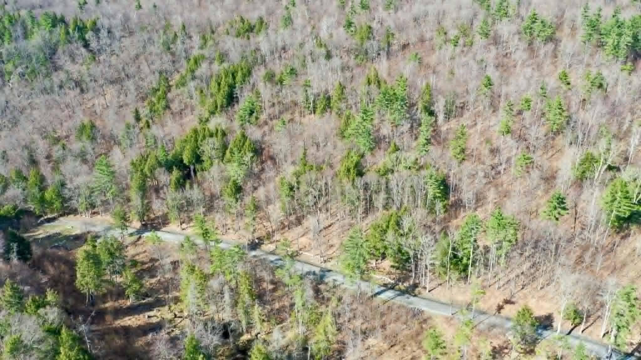 00 Turkey Mountain Road Property Photo 20