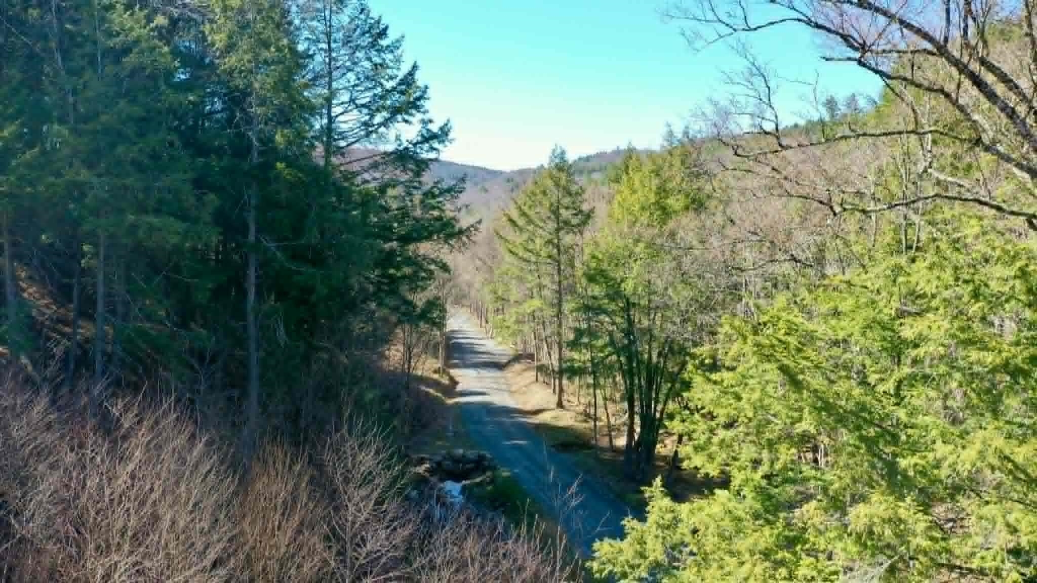 00 Turkey Mountain Road Property Photo 21