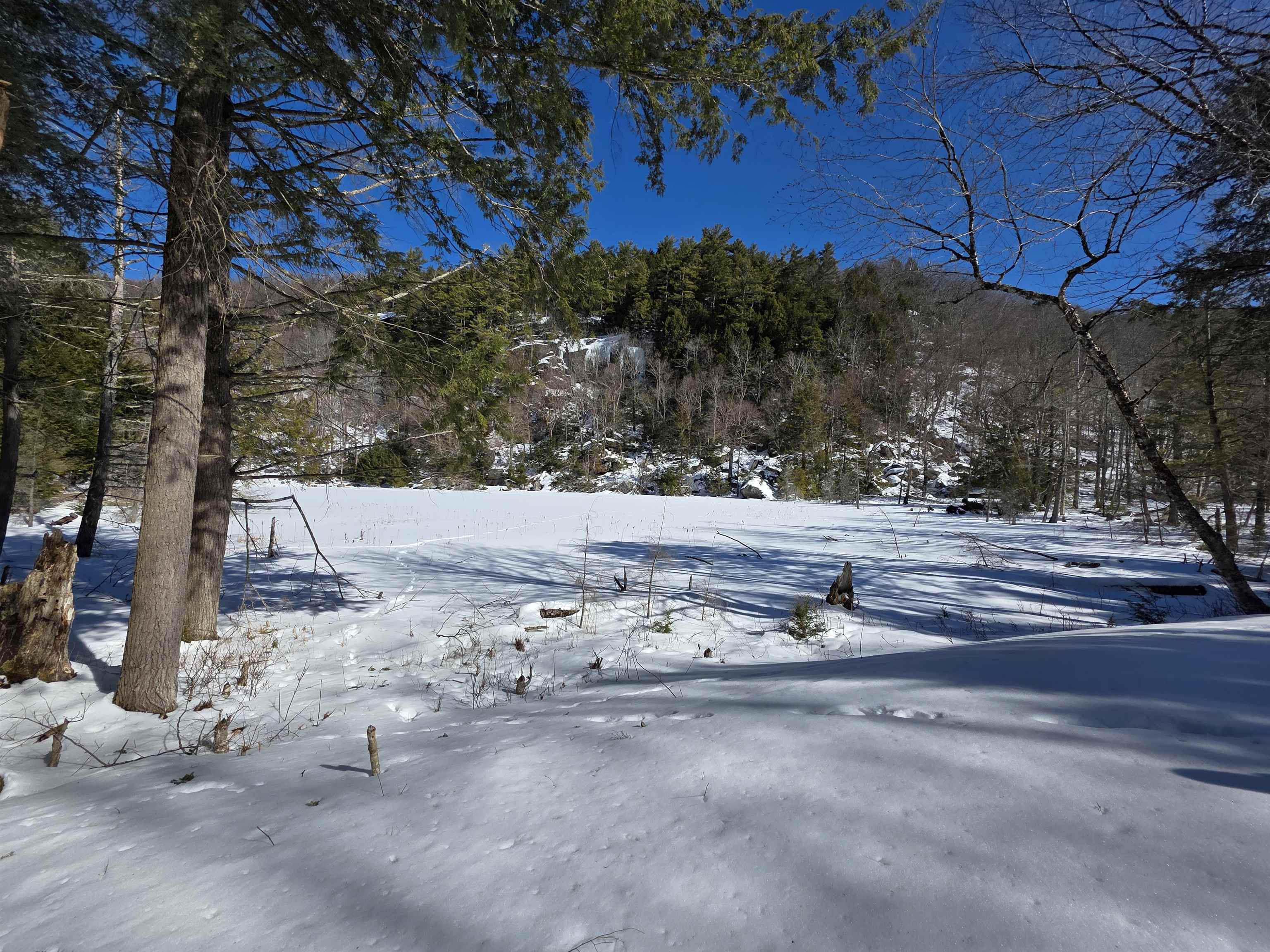 00 Turkey Mountain Road Property Photo 27