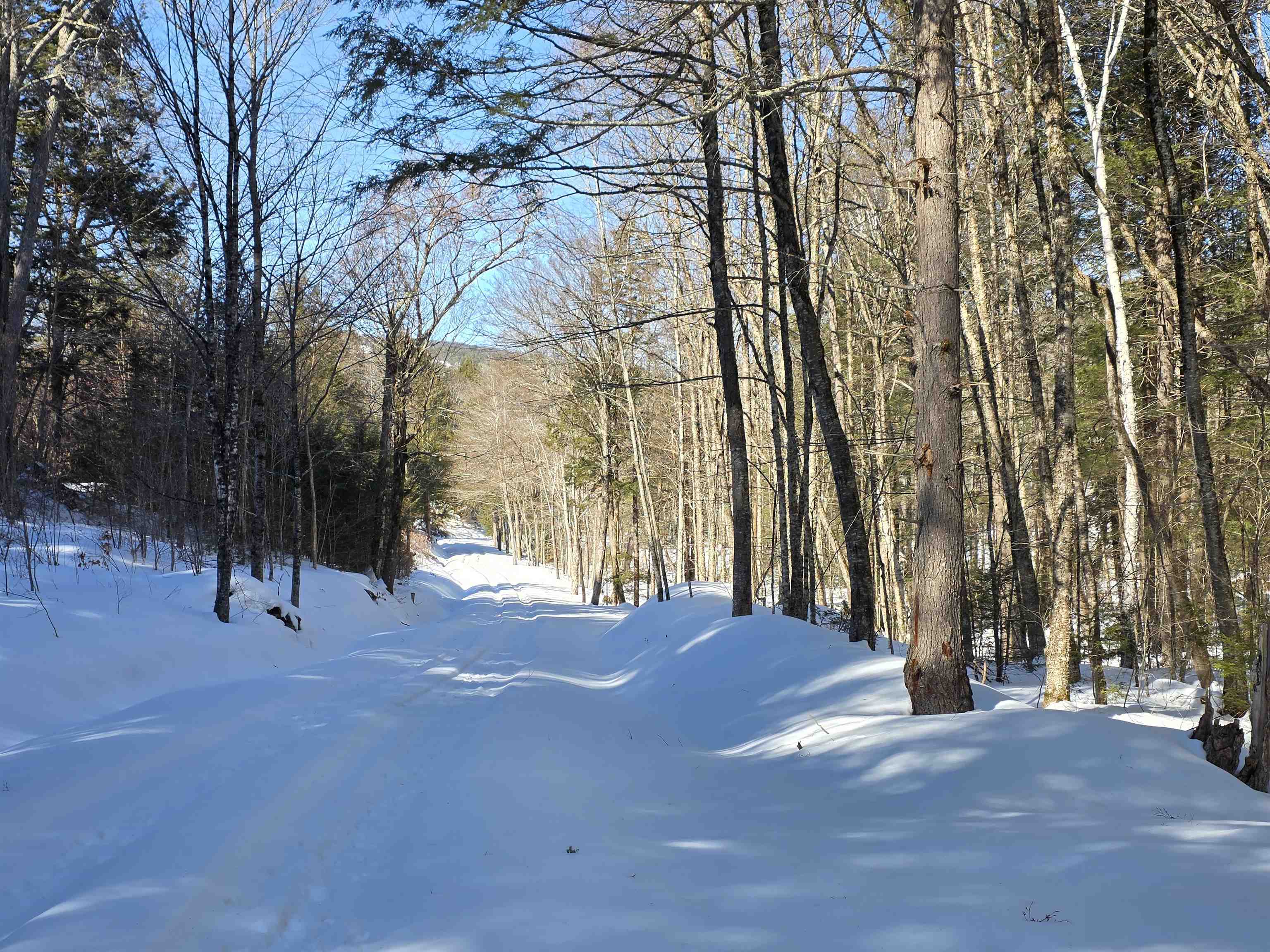 00 Turkey Mountain Road Property Photo 29