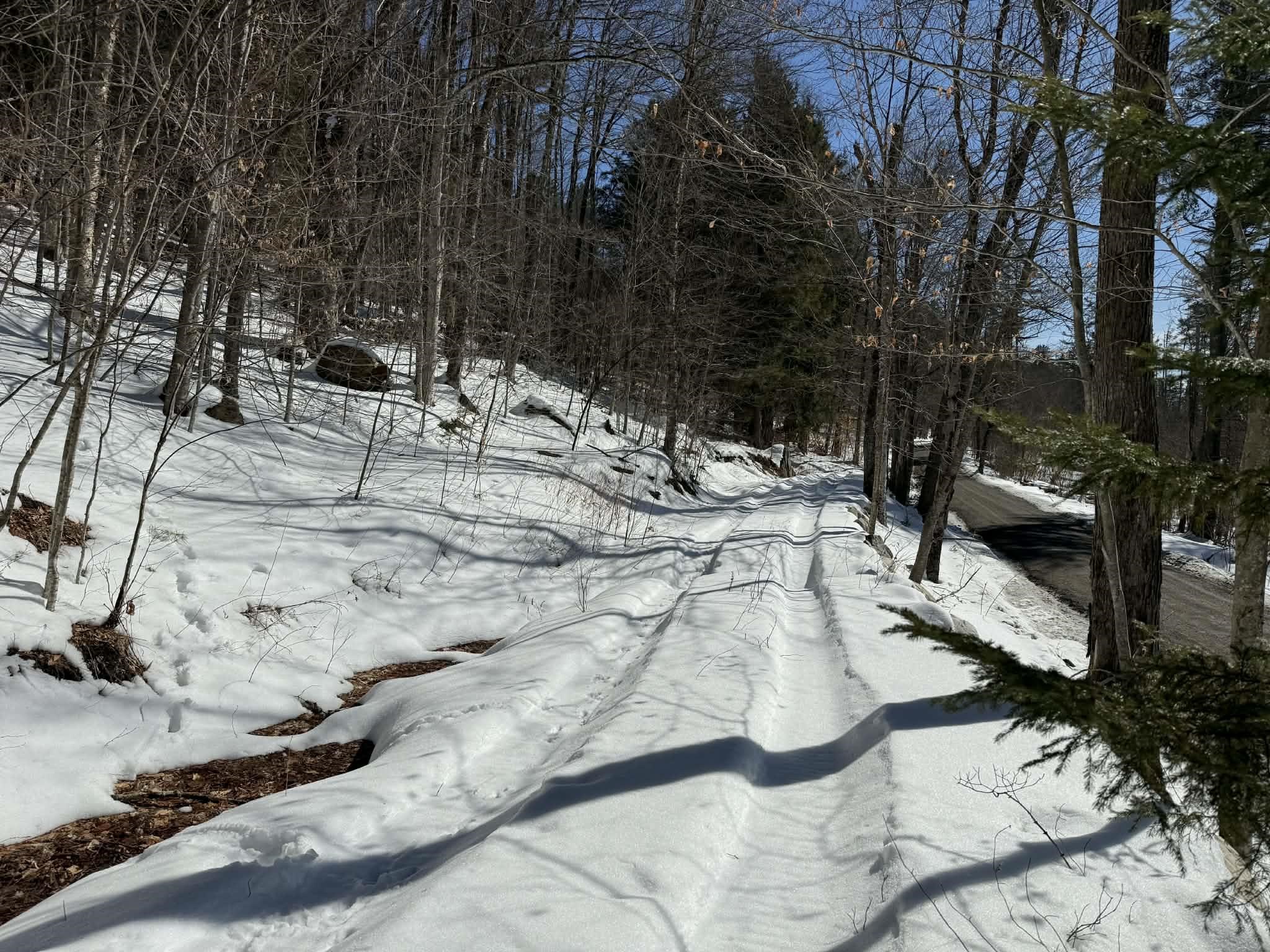 00 Turkey Mountain Road Property Photo 31