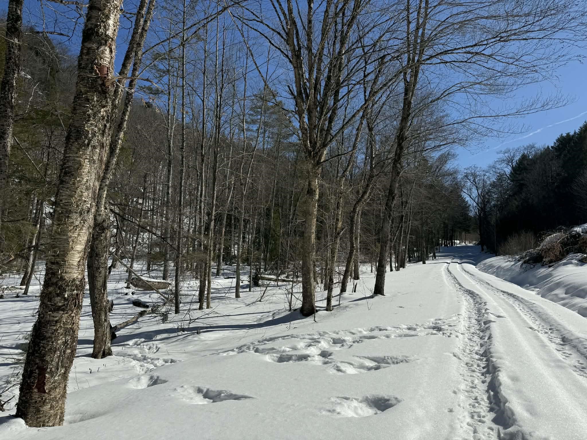 00 Turkey Mountain Road Property Photo 32