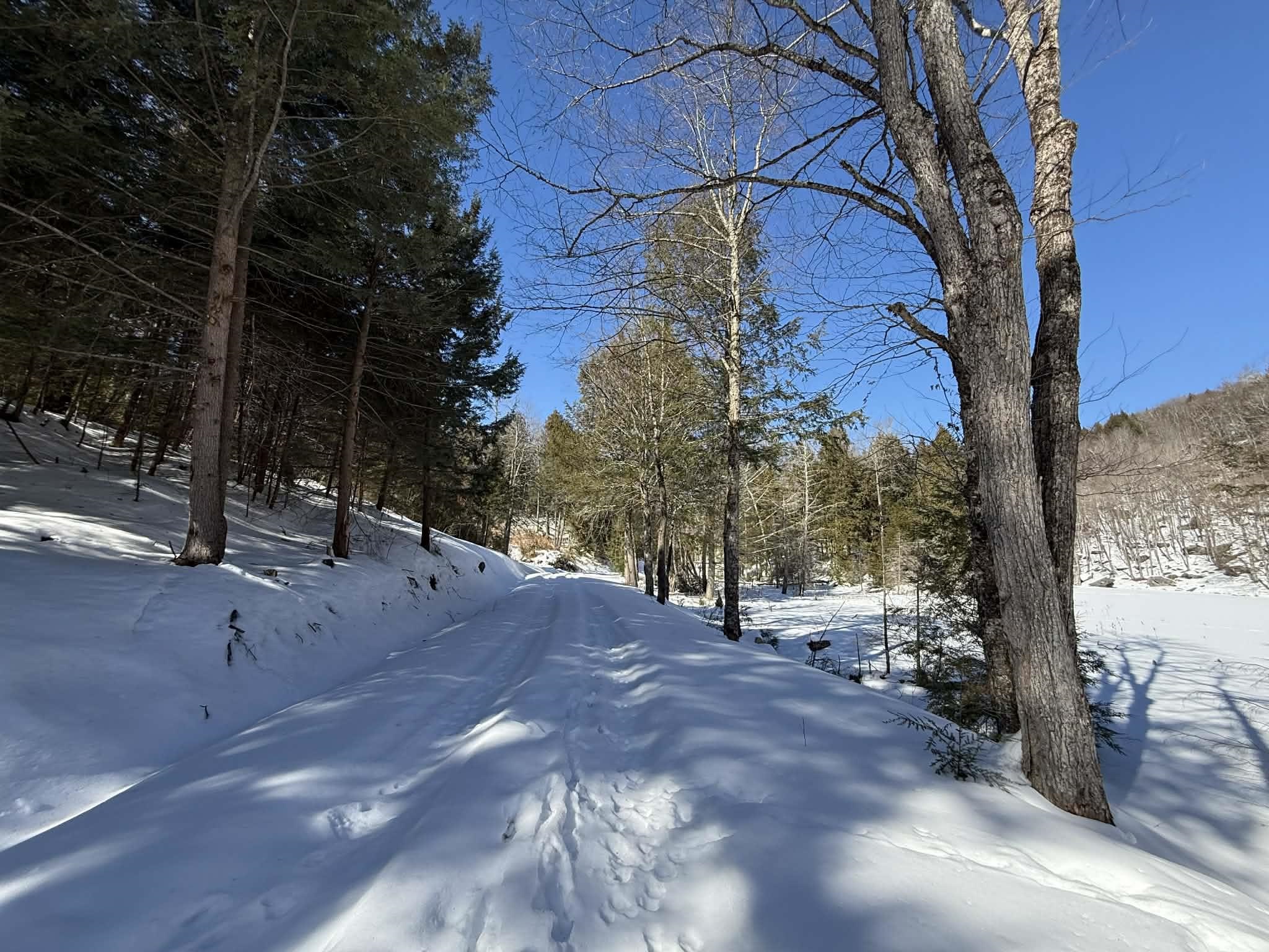 00 Turkey Mountain Road Property Photo 33