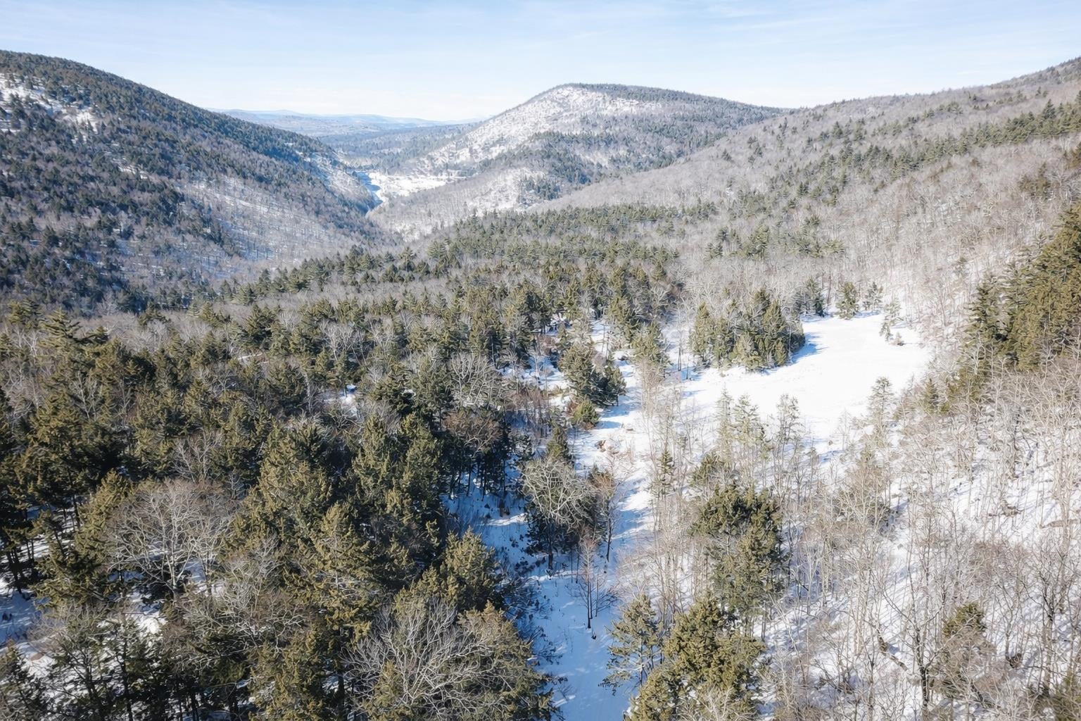 00 Turkey Mountain Road Property Photo 35