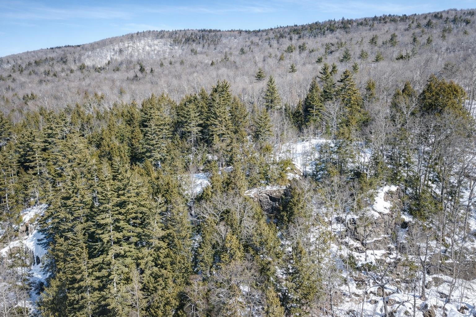 00 Turkey Mountain Road Property Photo 37