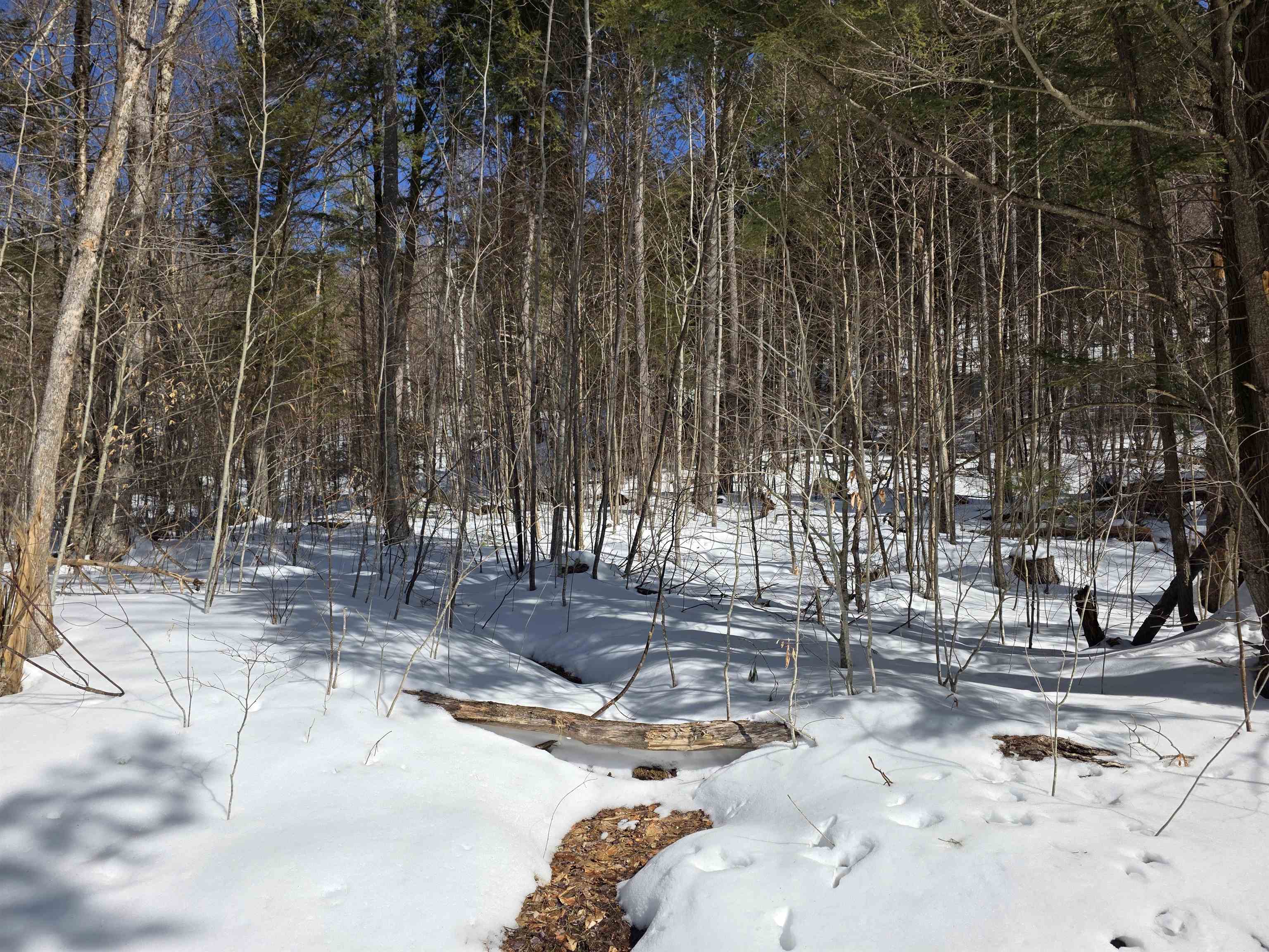 00 Turkey Mountain Road Property Photo 39