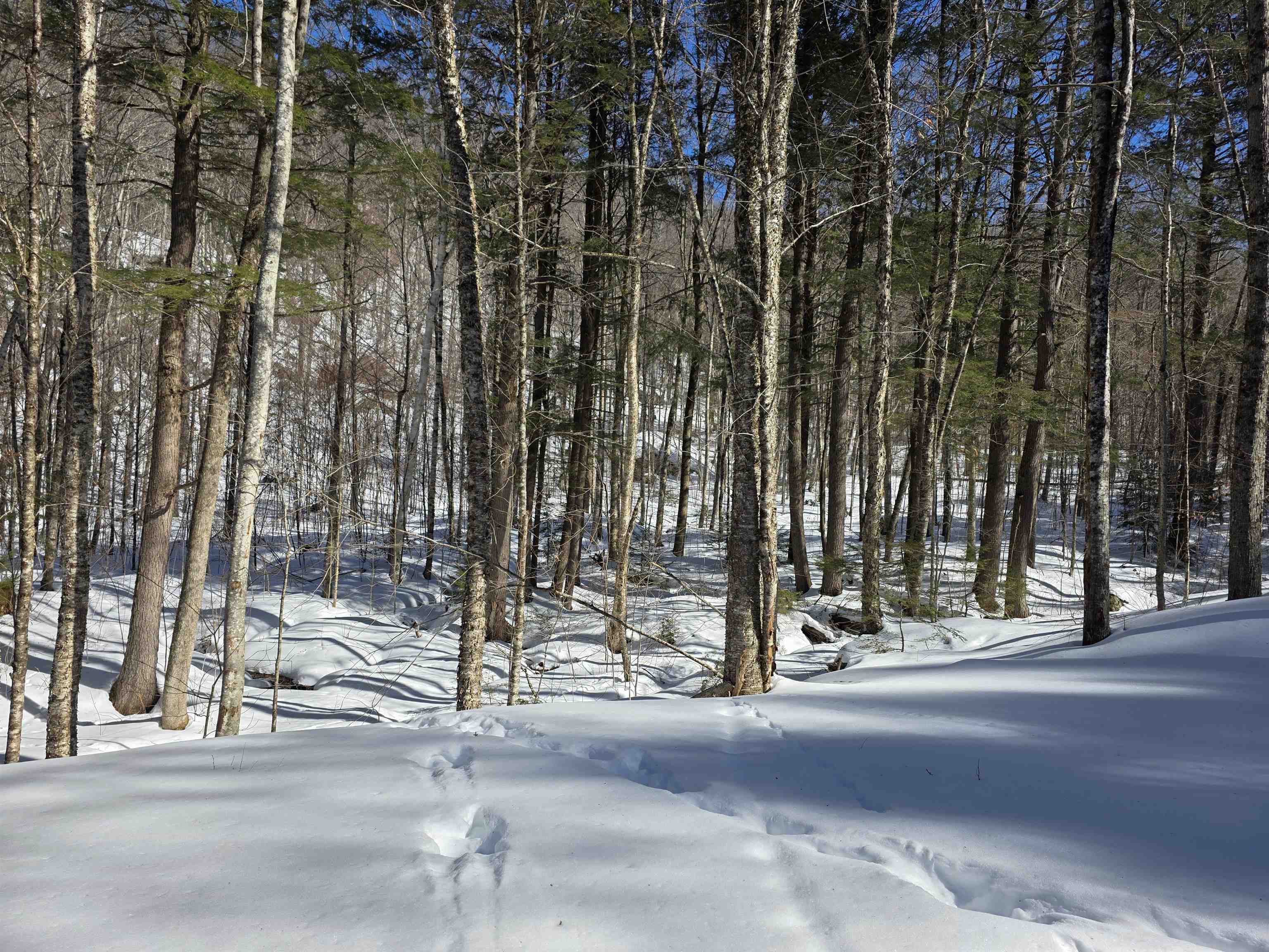 00 Turkey Mountain Road Property Photo 41