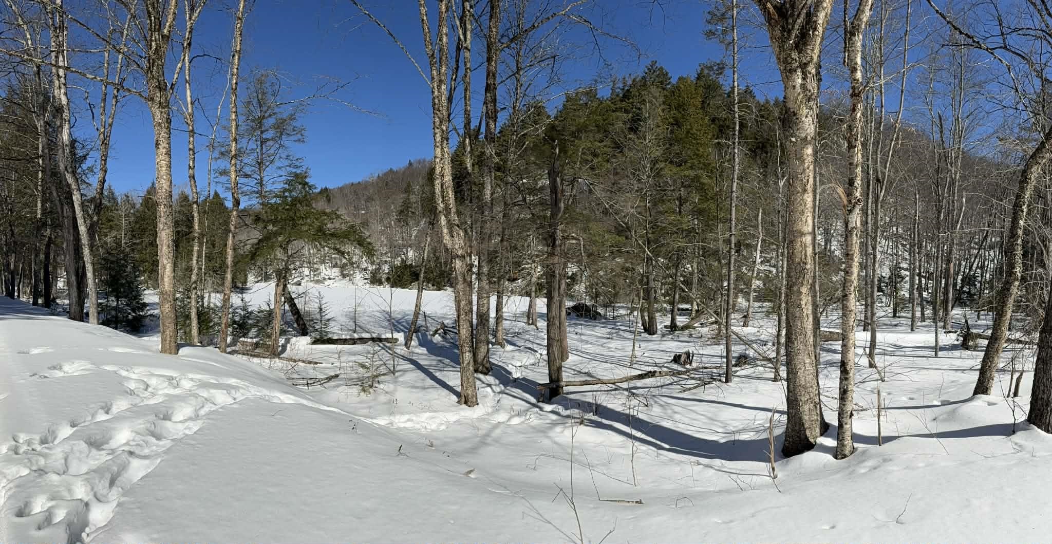 00 Turkey Mountain Road Property Photo 44