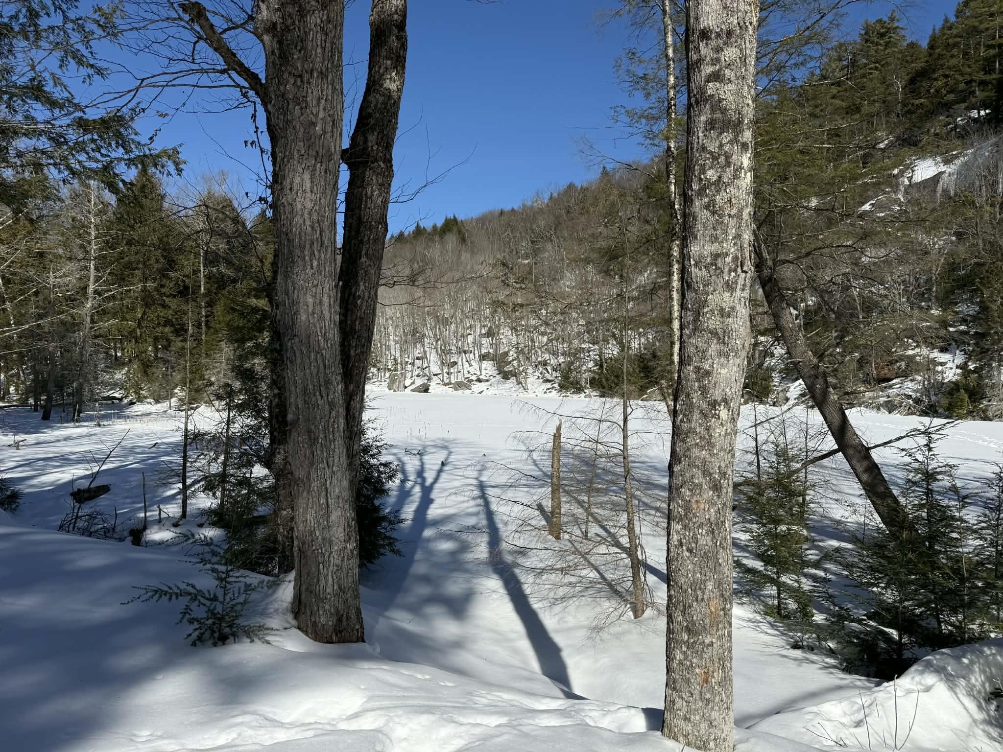 00 Turkey Mountain Road Property Photo 45