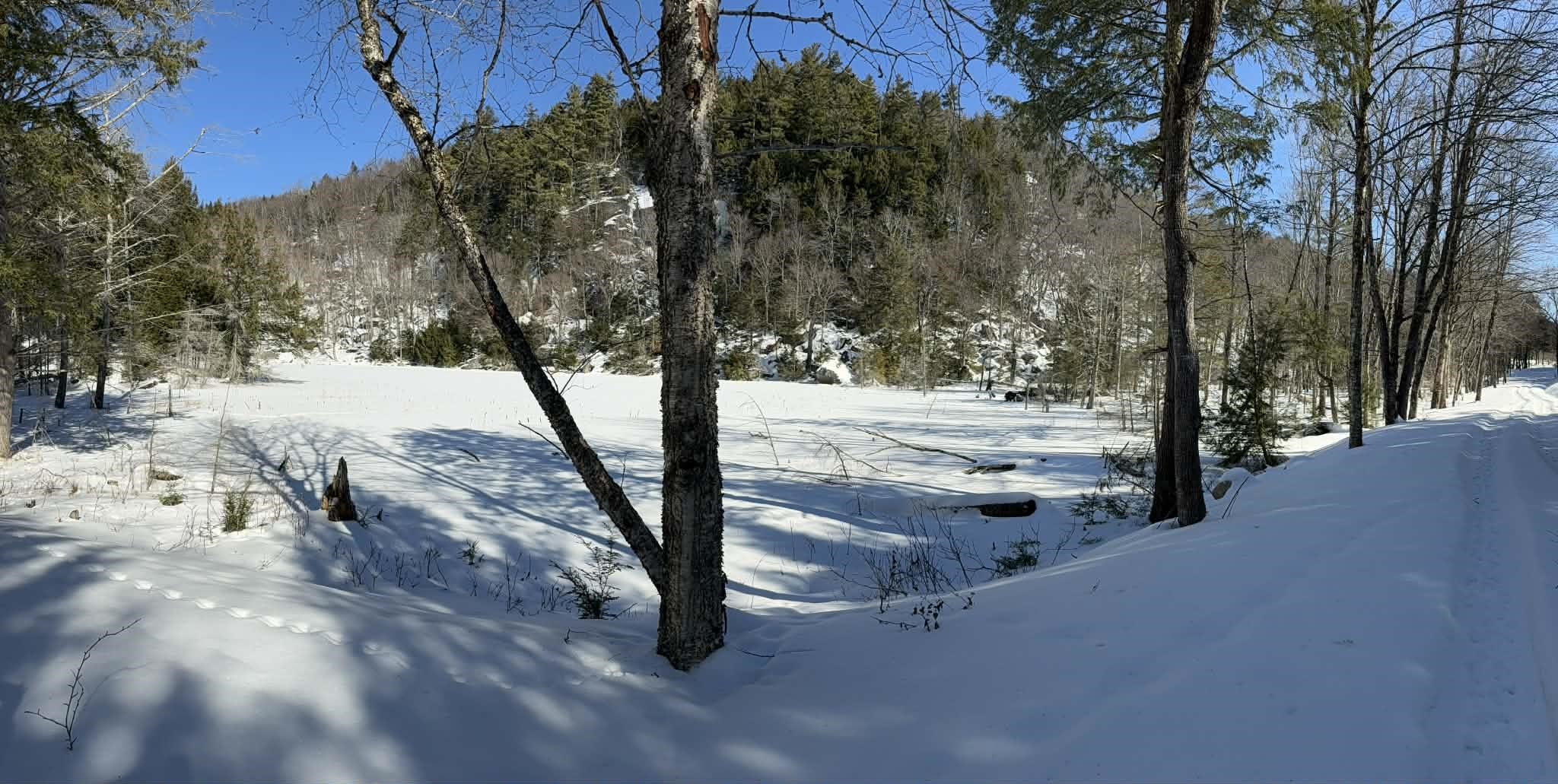 00 Turkey Mountain Road Property Photo 46