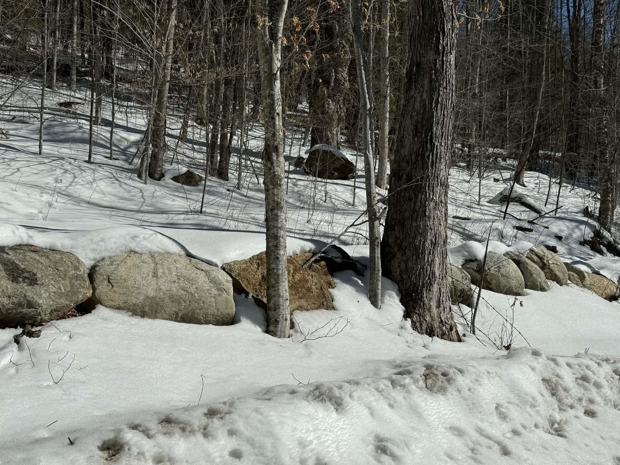 00 Turkey Mountain Road Property Photo 48