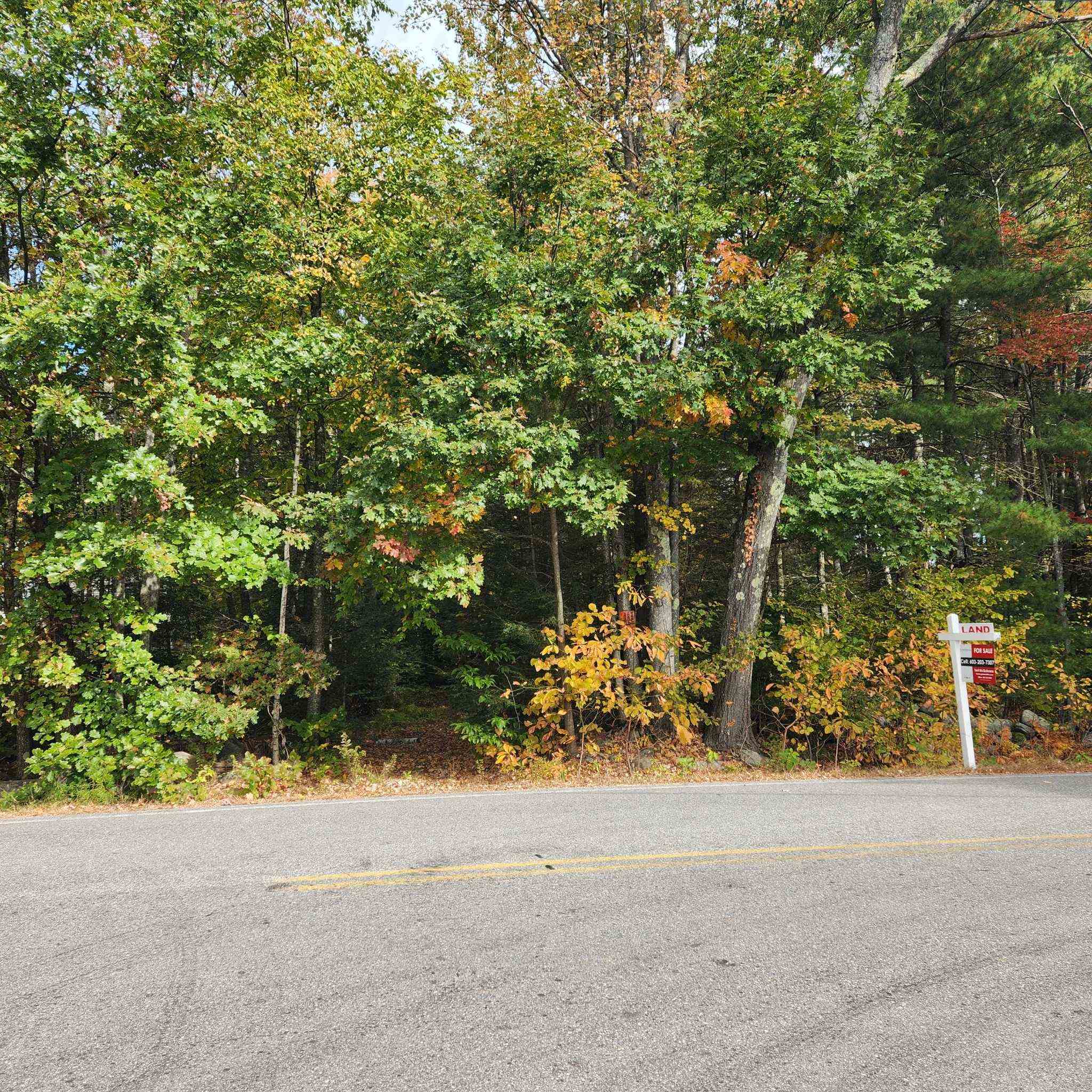 M20 L45 Green Road Property Photo 21