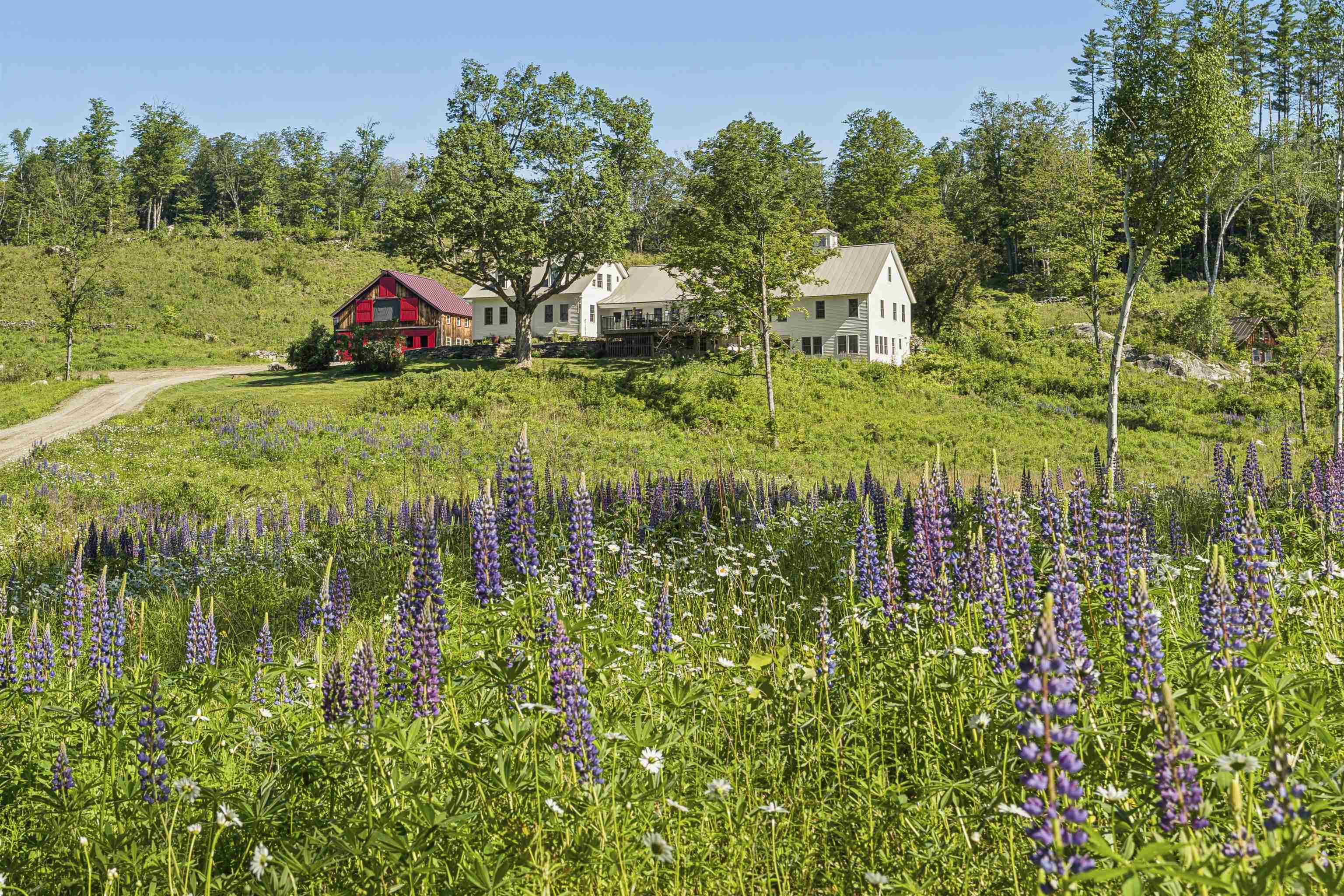 4669 Vermont Rte 100 Property Photo 3