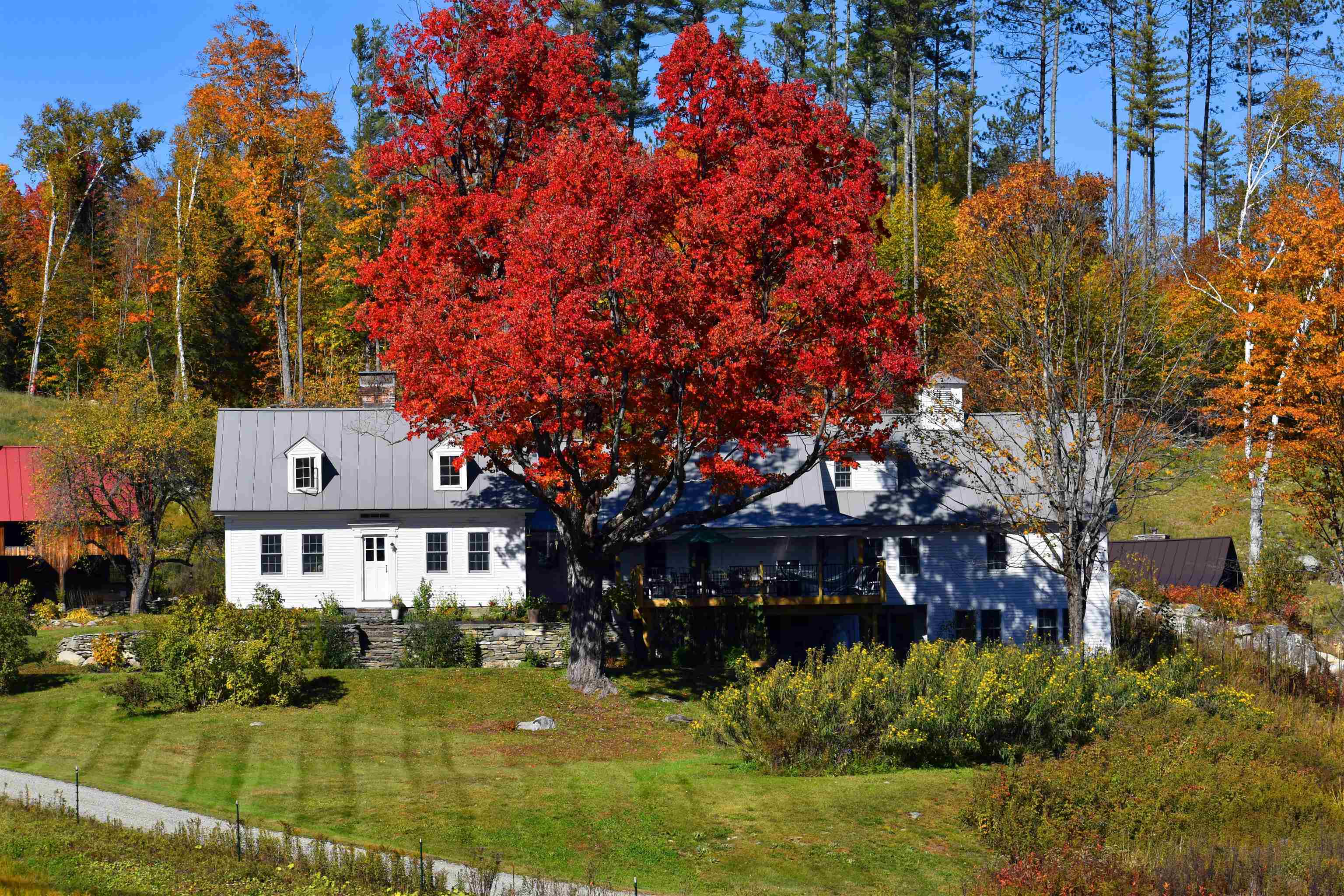 4669 Vermont Rte 100 Property Photo 4