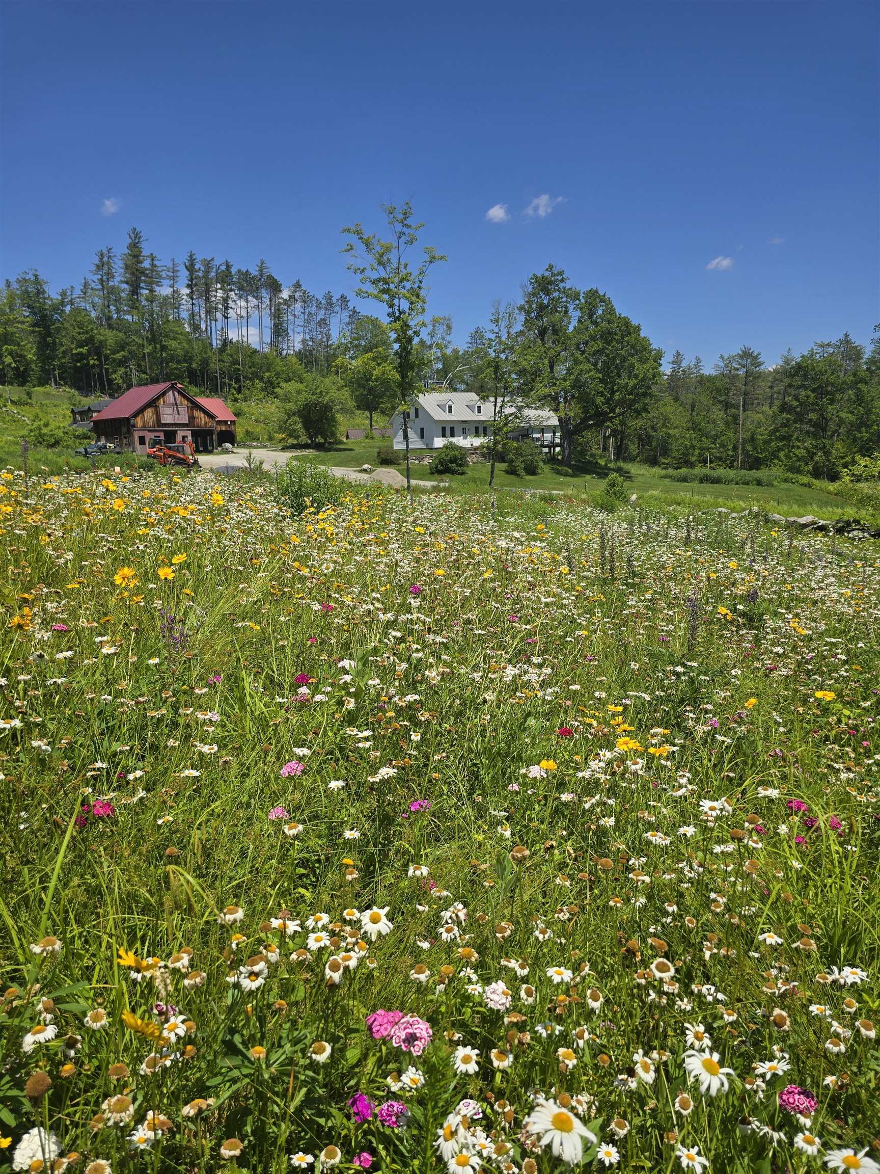 4669 Vermont Rte 100 Property Photo 35
