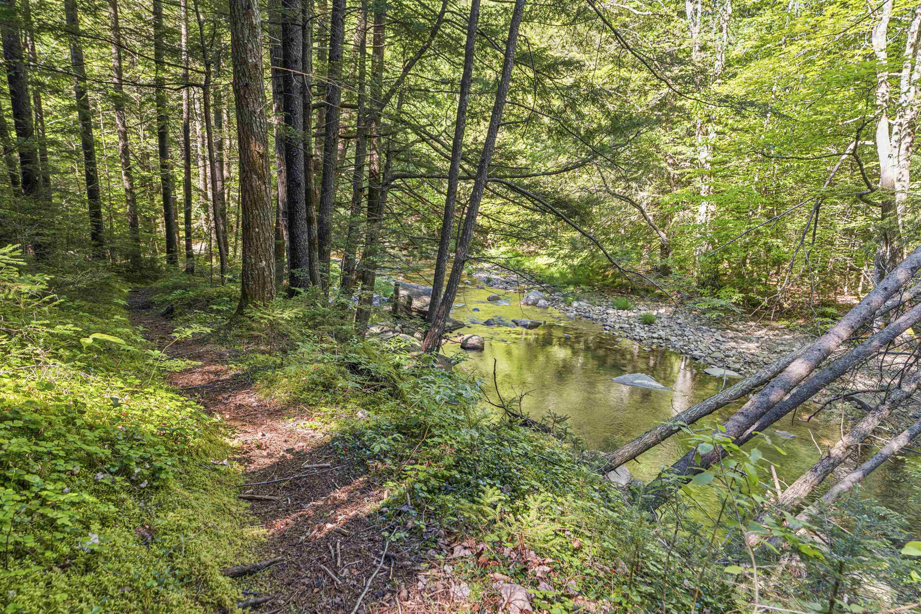 4669 Vermont Rte 100 Property Photo 37