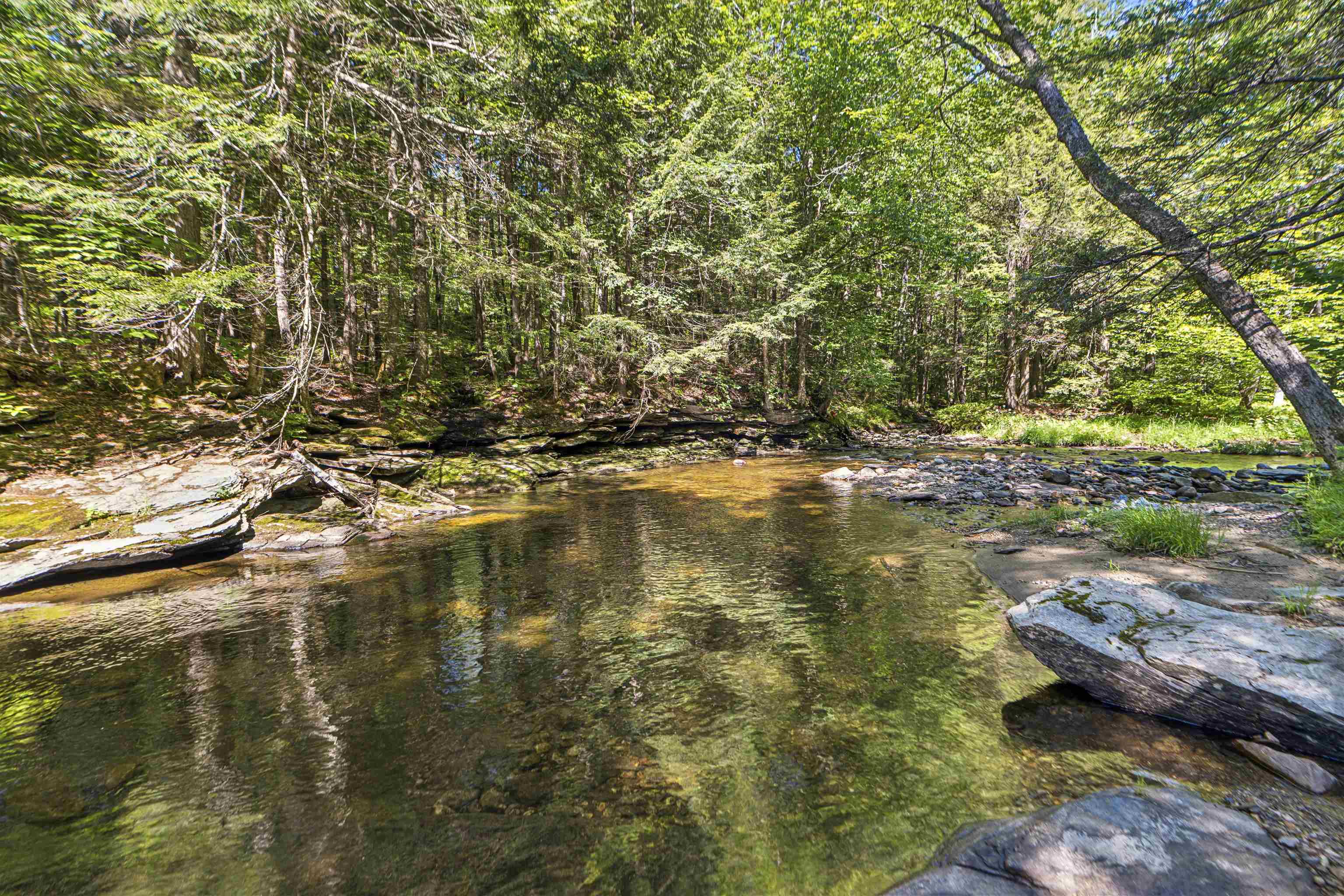 4669 Vermont Rte 100 Property Photo 38