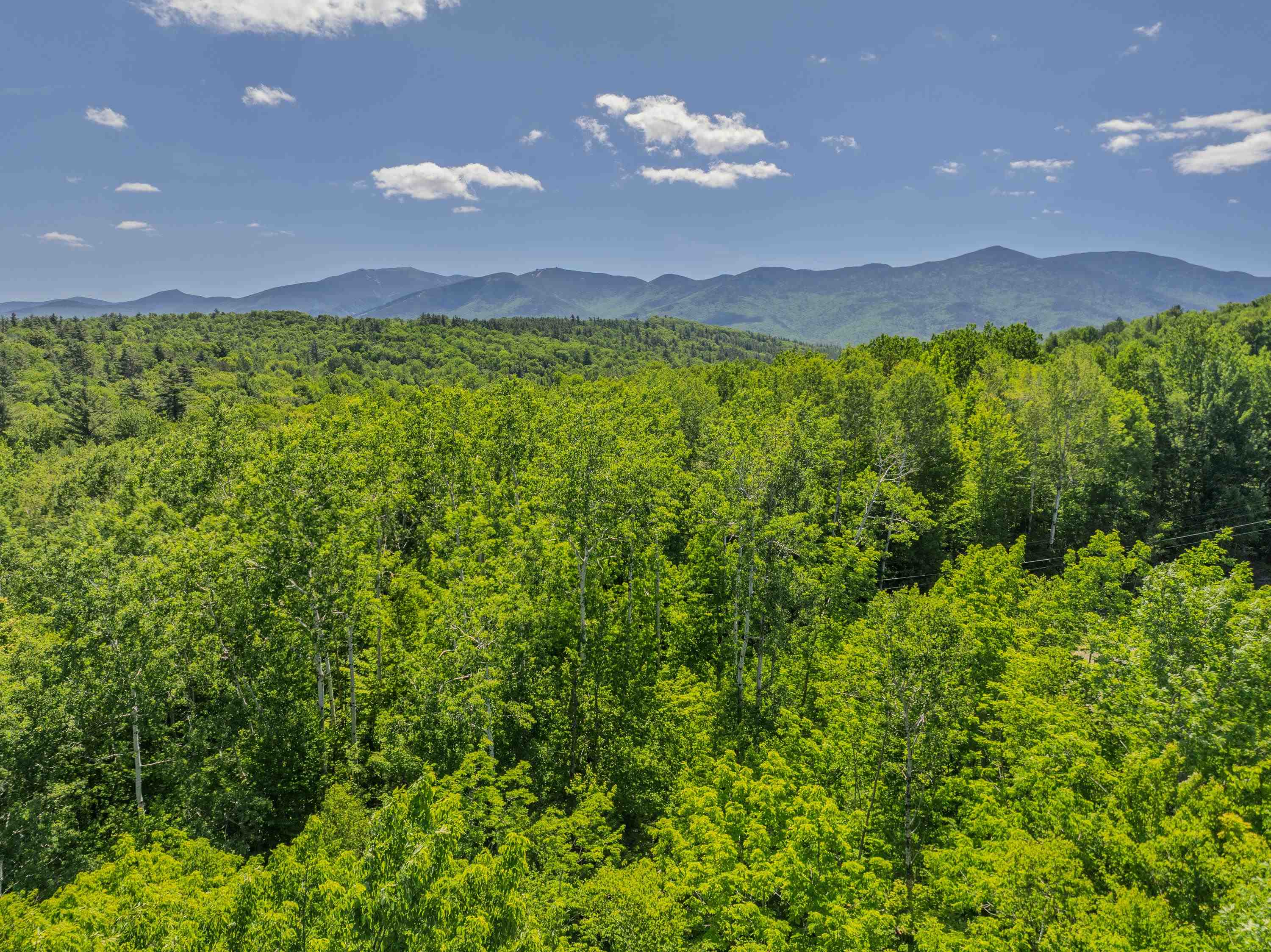 0 Cannon View Drive Property Photo 20