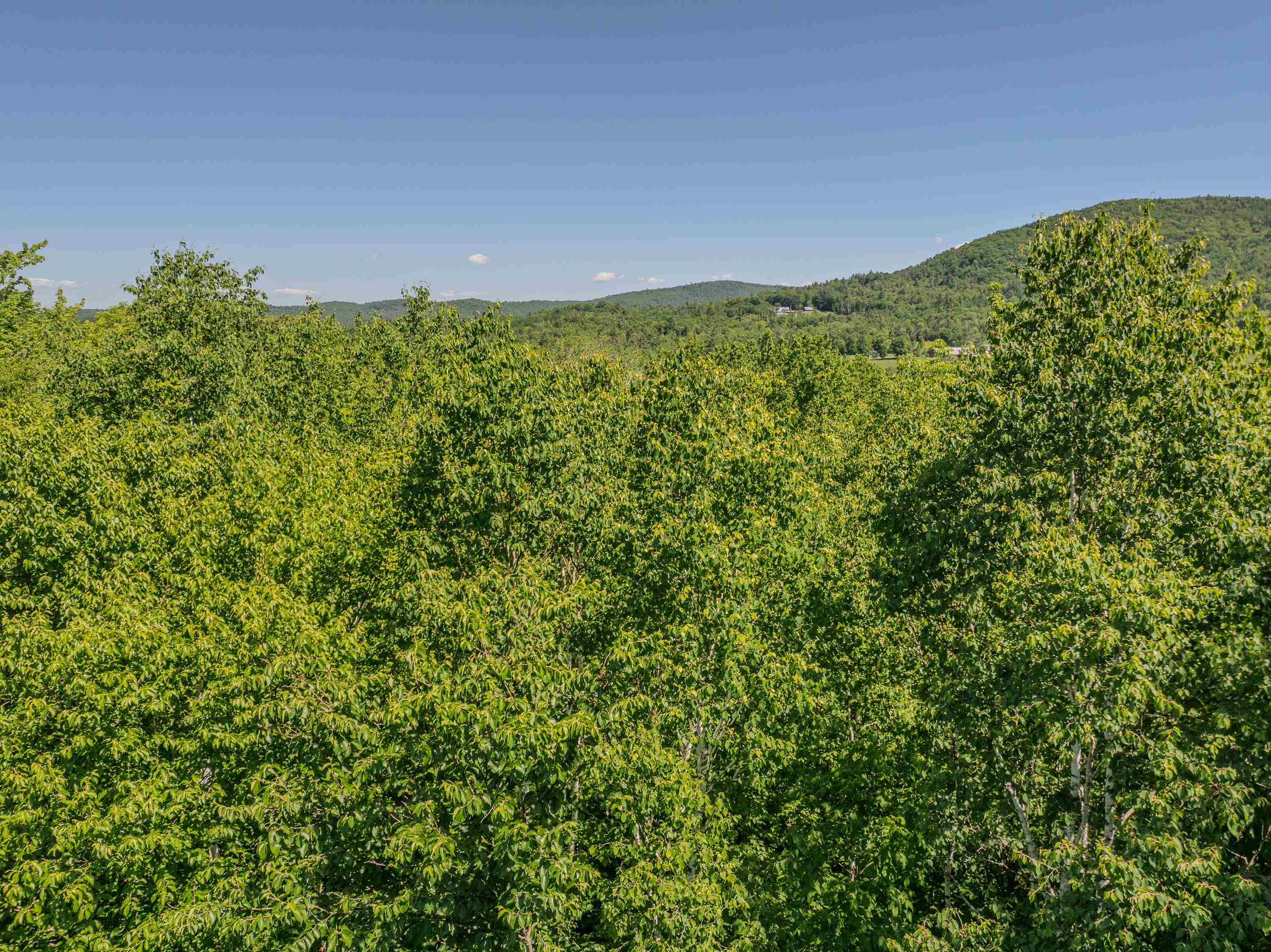 0 Cannon View Drive Property Photo 23