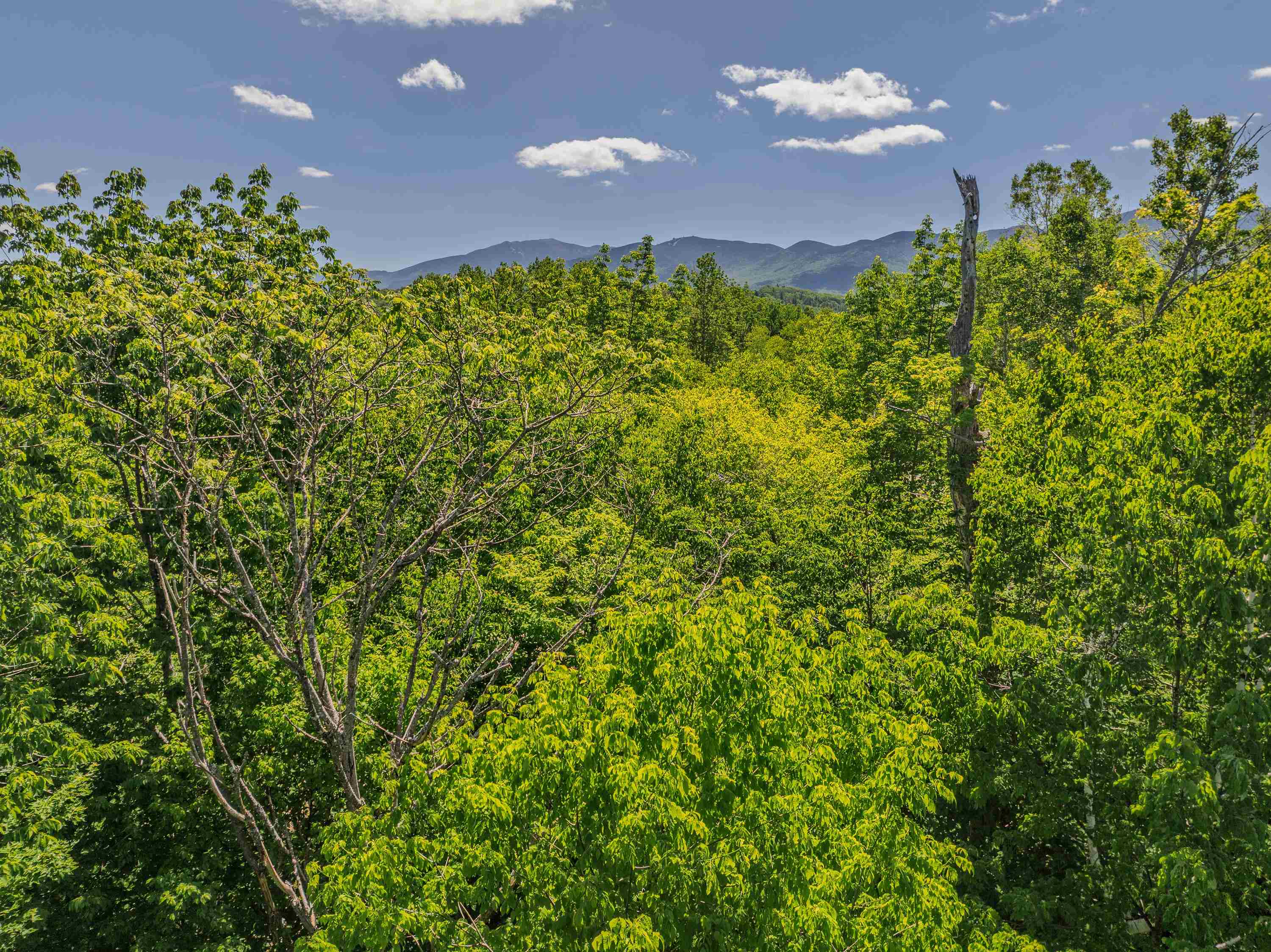 0 Cannon View Drive Property Photo 24
