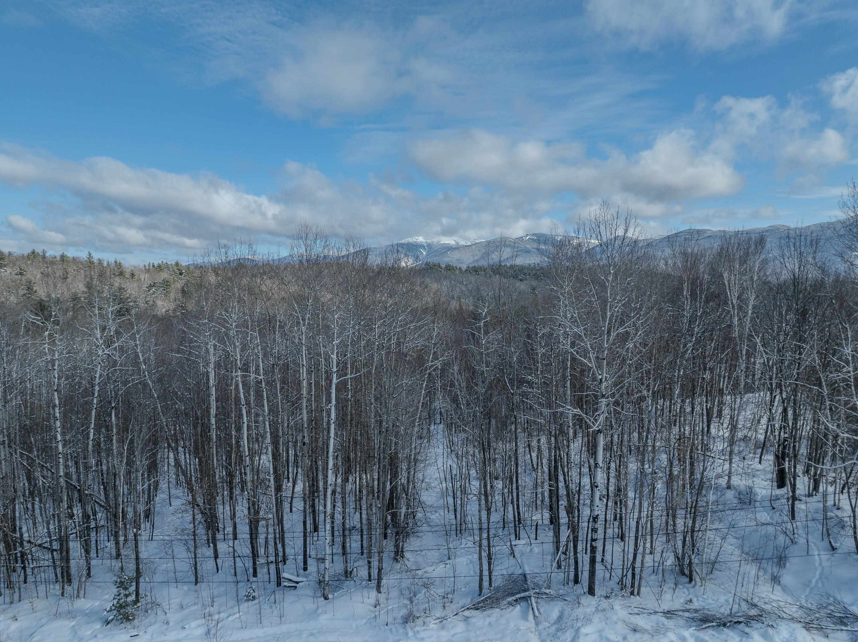 0 Cannon View Drive Property Photo 58