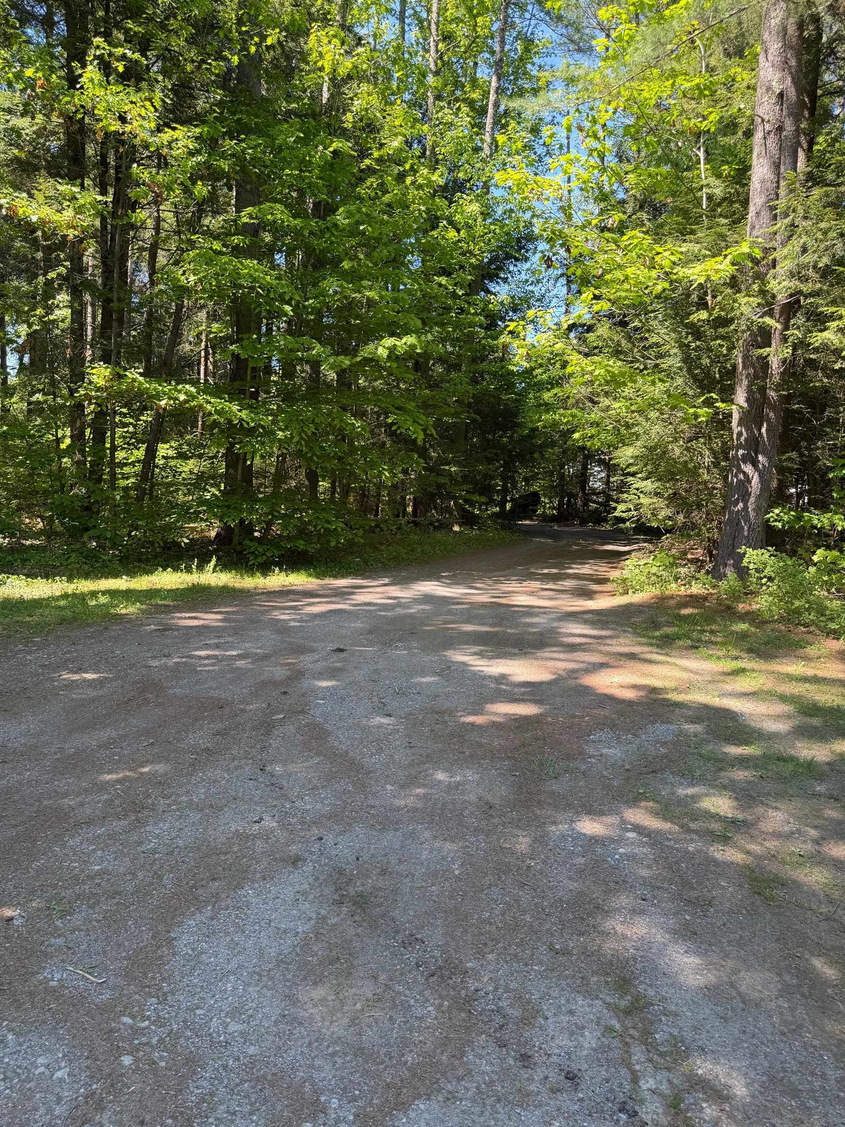63 Maxfield Road Property Photo 15