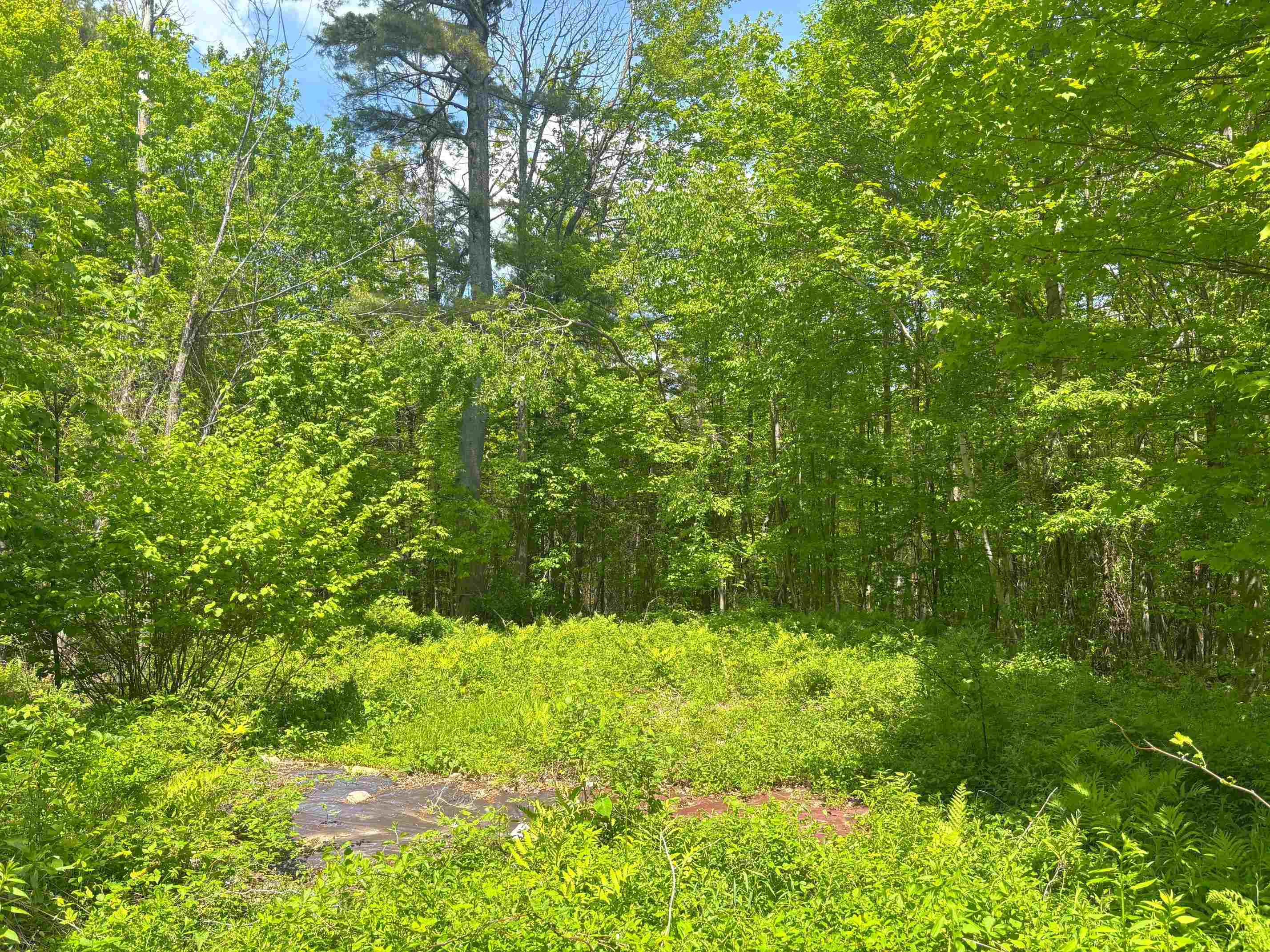 Lot 16 Granite Hill Road Property Photo 5