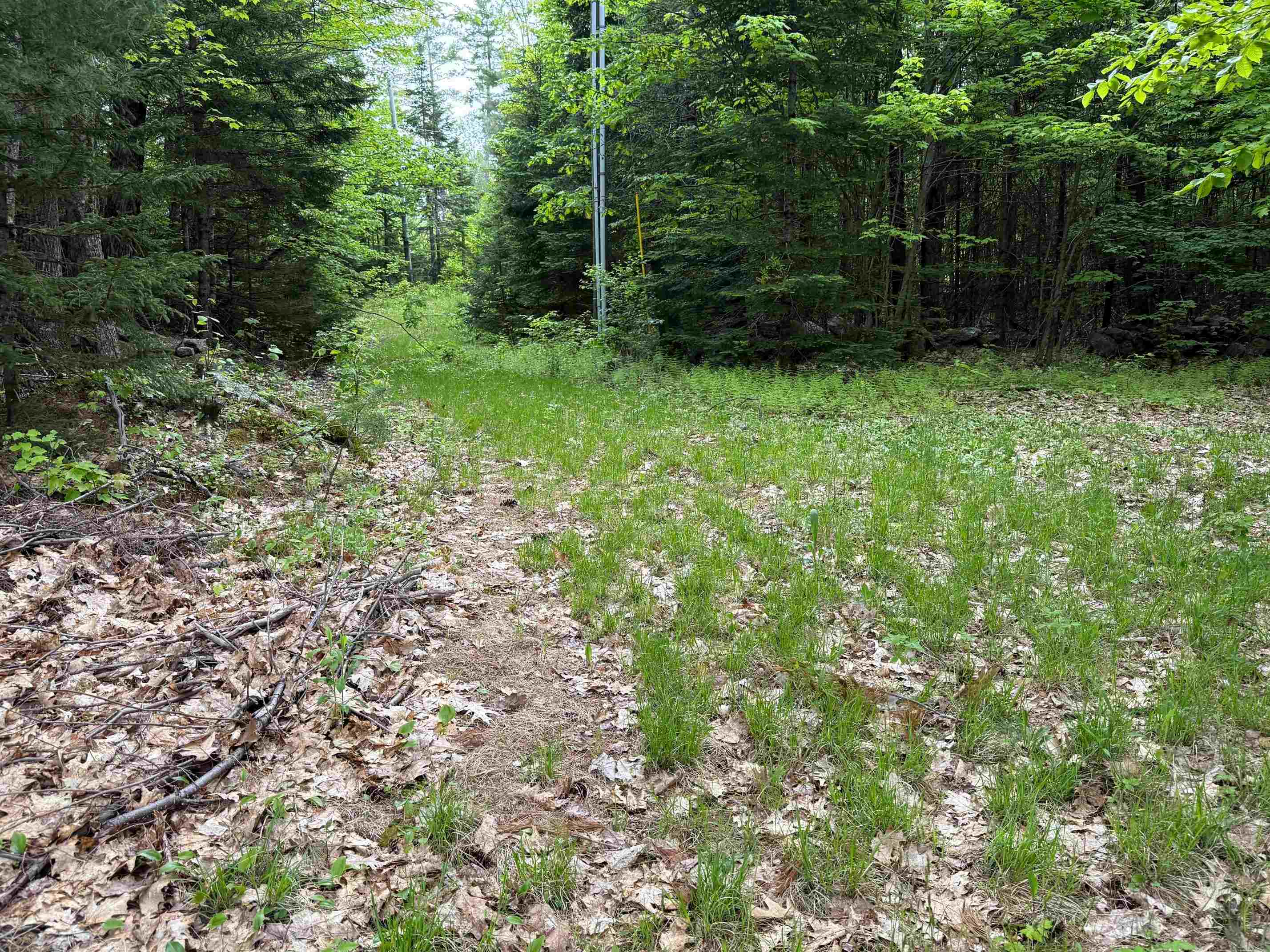 Lot 16 Granite Hill Road Property Photo 8