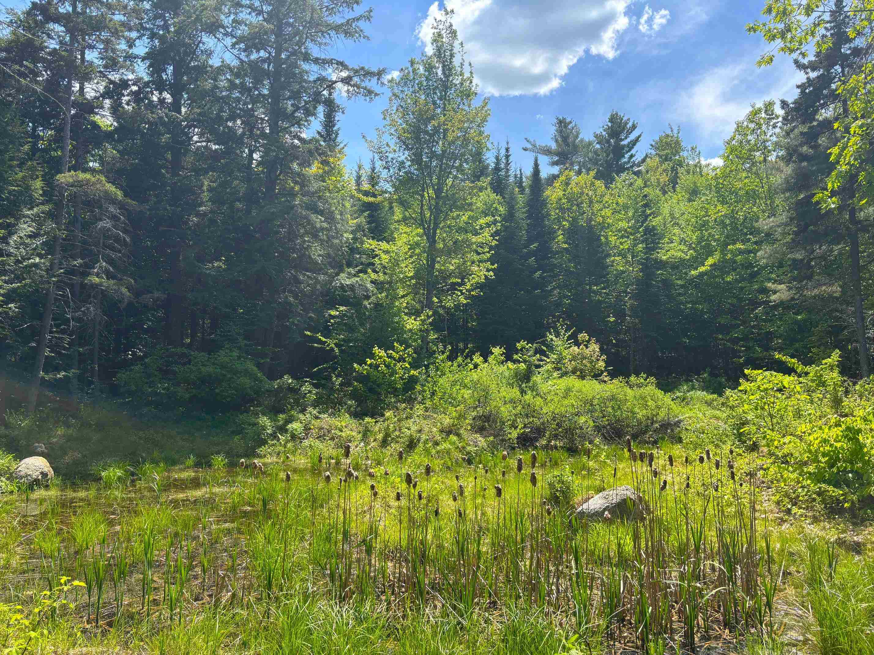 Lot 16 Granite Hill Road Property Photo 9