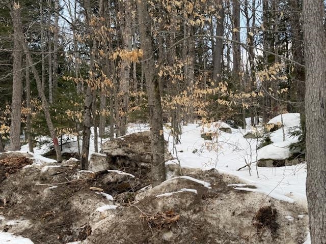 Map 6 Lot 103 Route 16 Property Photo 1