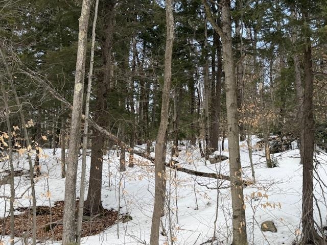 Map 6 Lot 103 Route 16 Property Photo 2