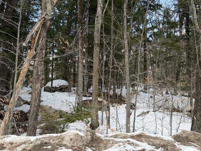 Map 6 Lot 103 Route 16 Property Photo 4