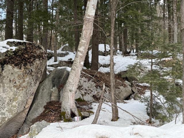 Map 6 Lot 103 Route 16 Property Photo 5