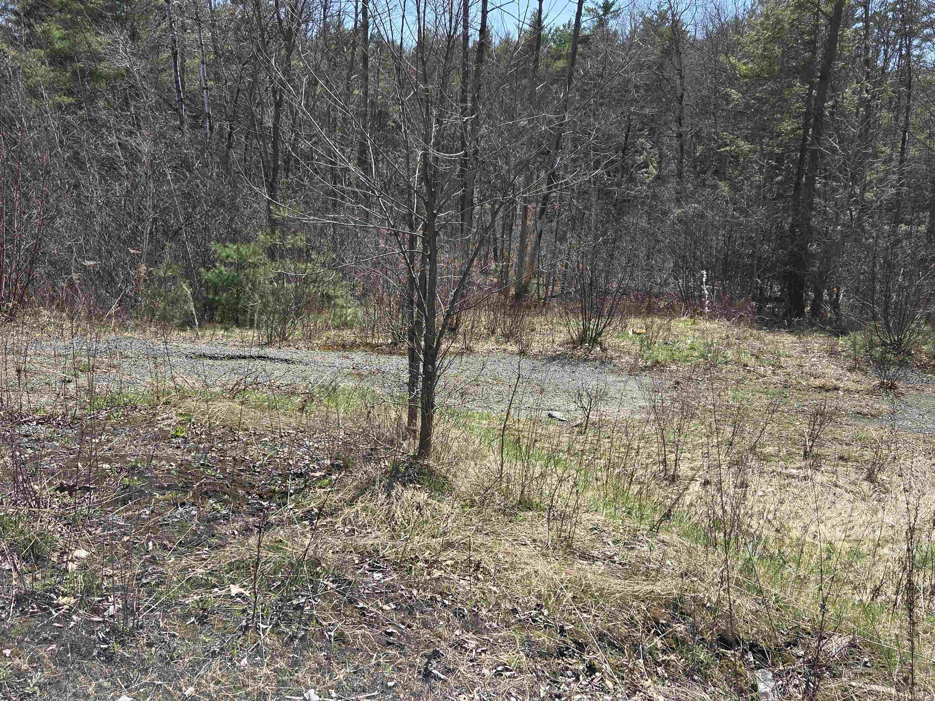0 Us Route 4 Property Photo 5