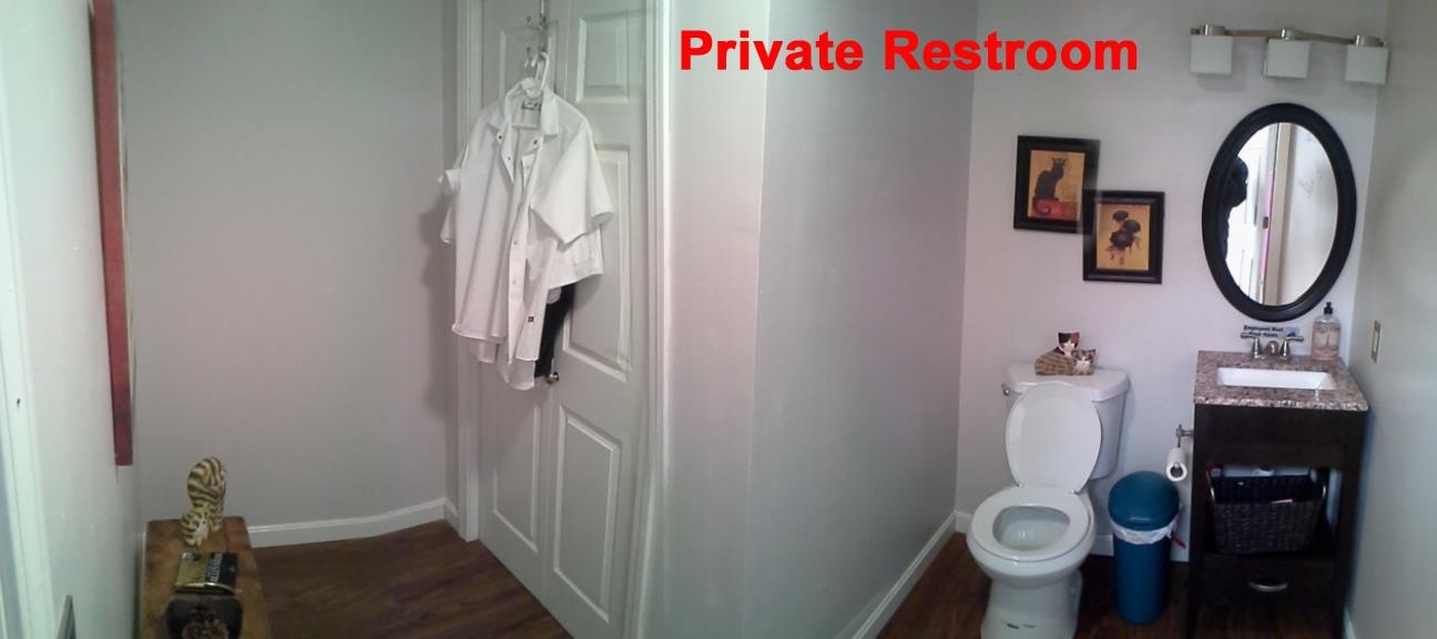 51 Harvey Road Property Photo 12