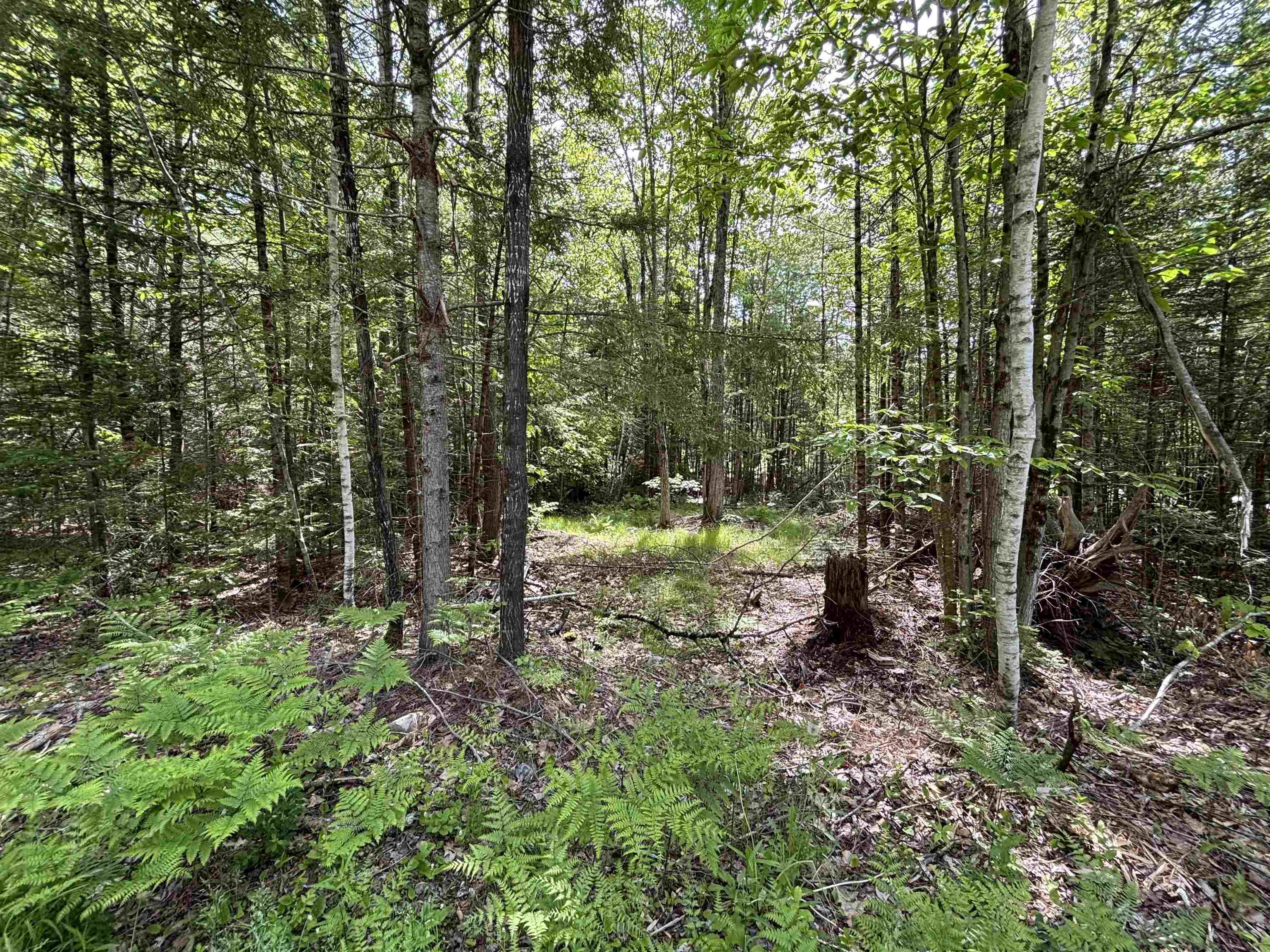 37446 North Shore/washington Drive Property Photo 1