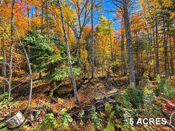 00 Mountain Road Property Photo 1