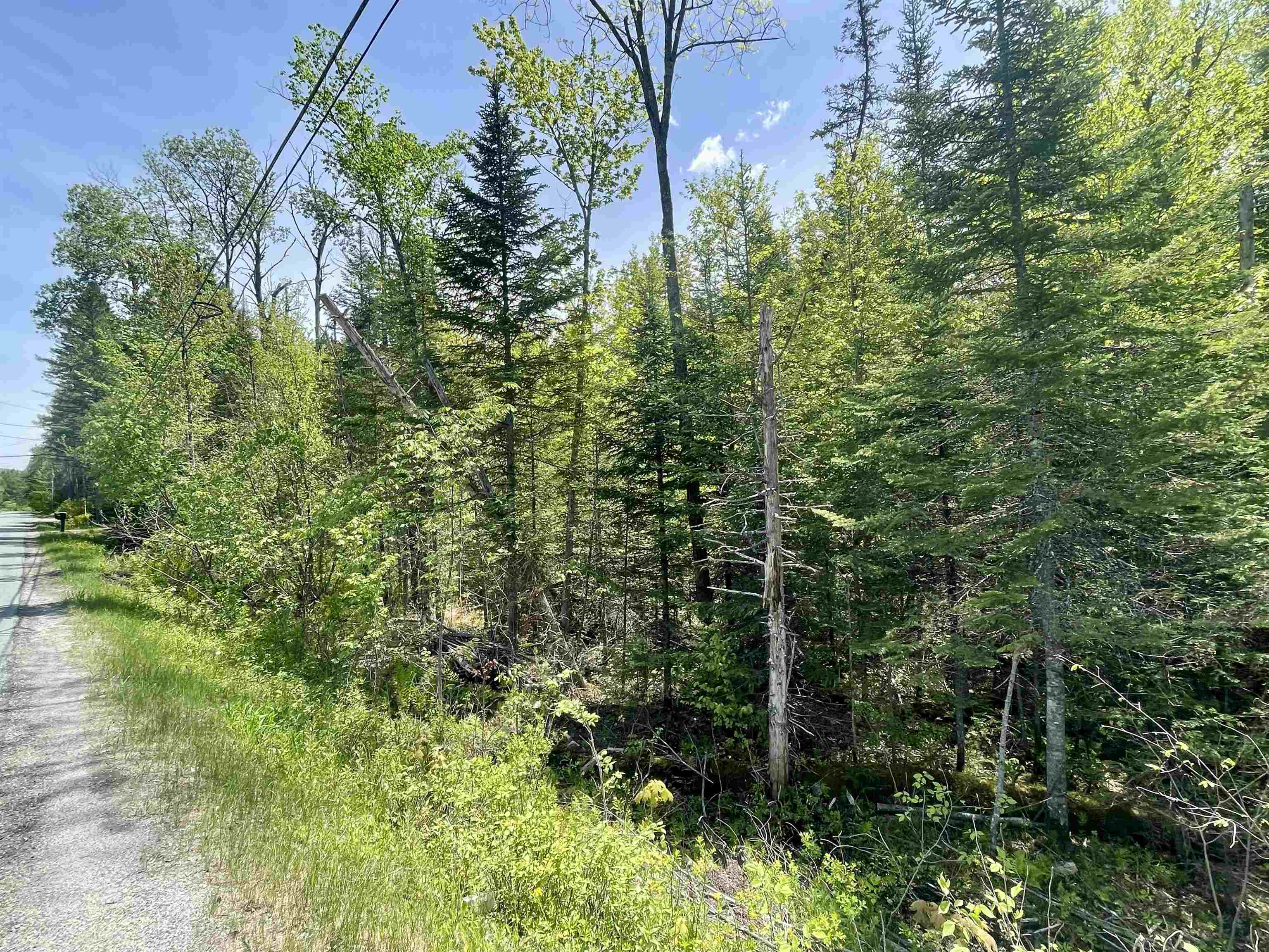 00 Mountain Road Property Photo 2