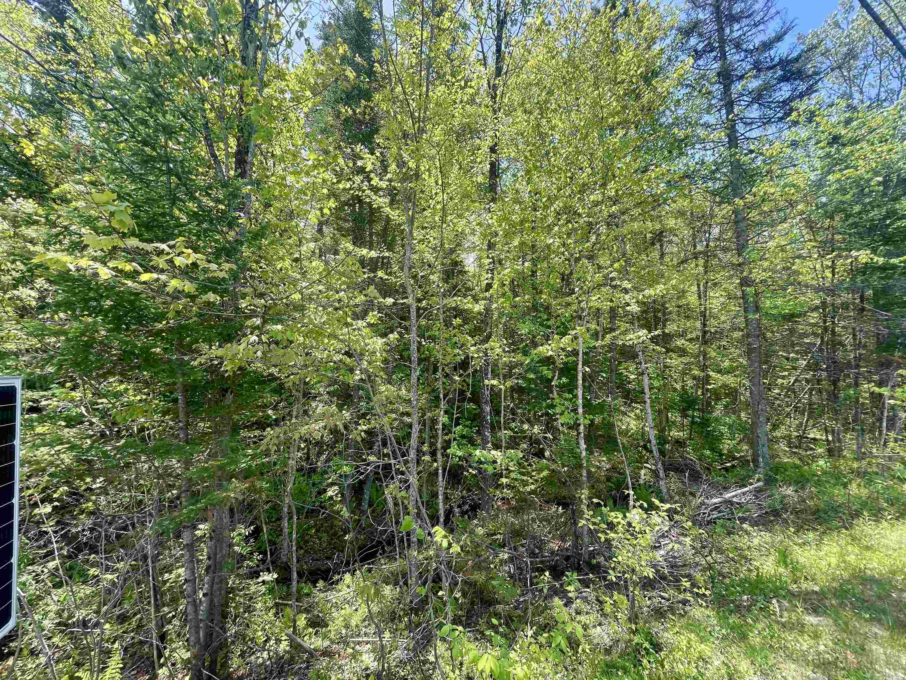 00 Mountain Road Property Photo 3