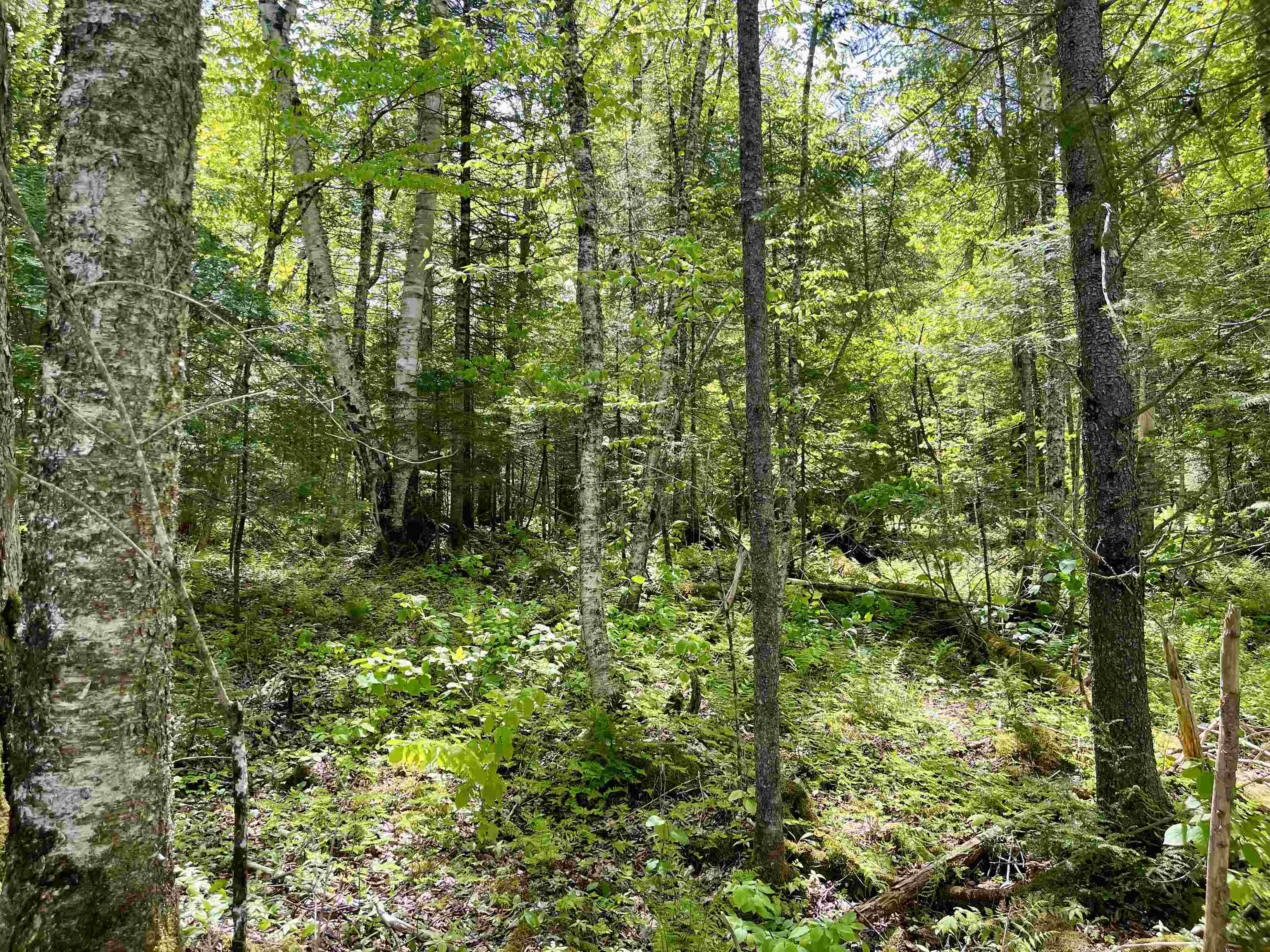 00 Mountain Road Property Photo 8