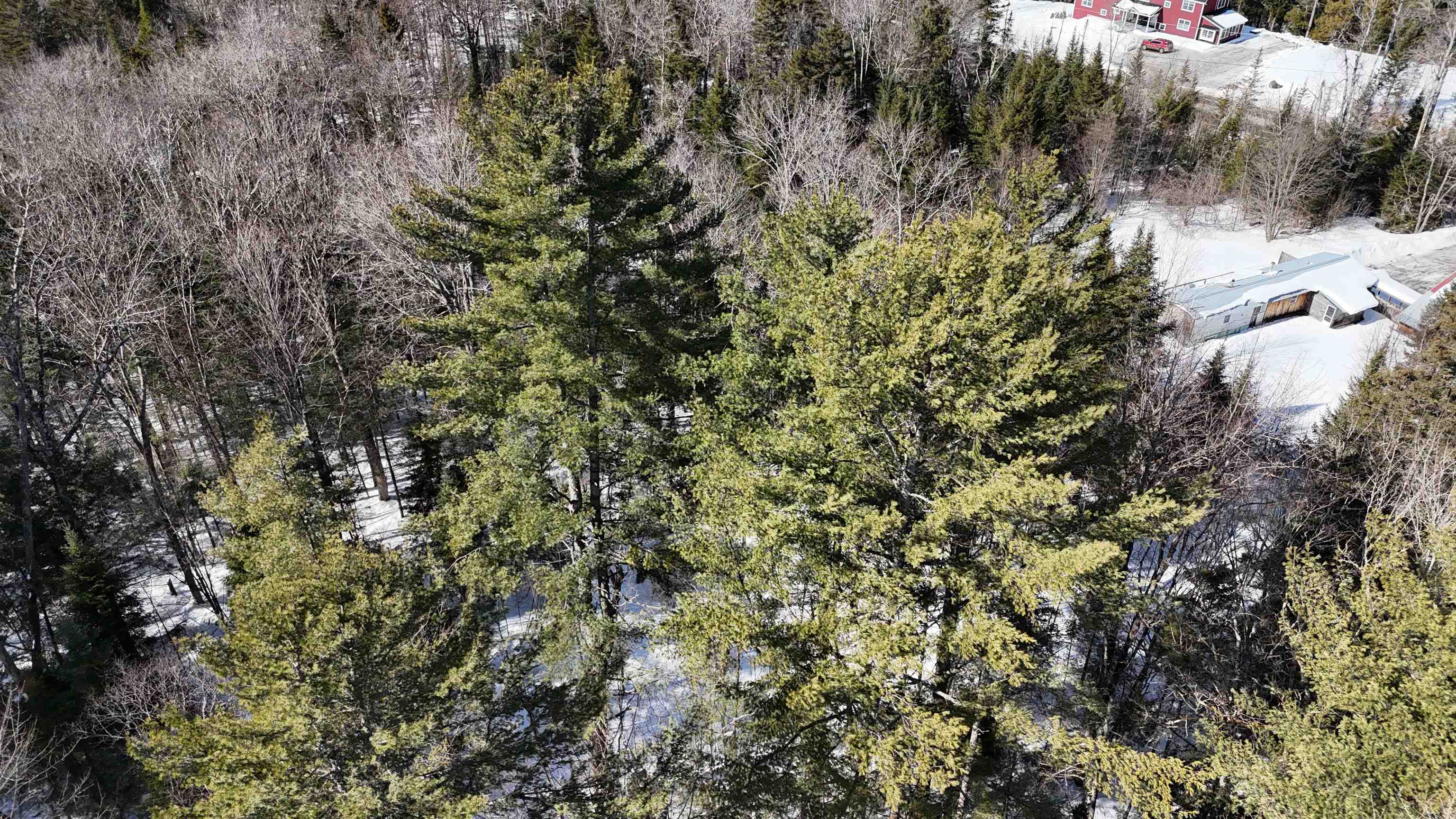 00 Mountain Road Property Photo 11