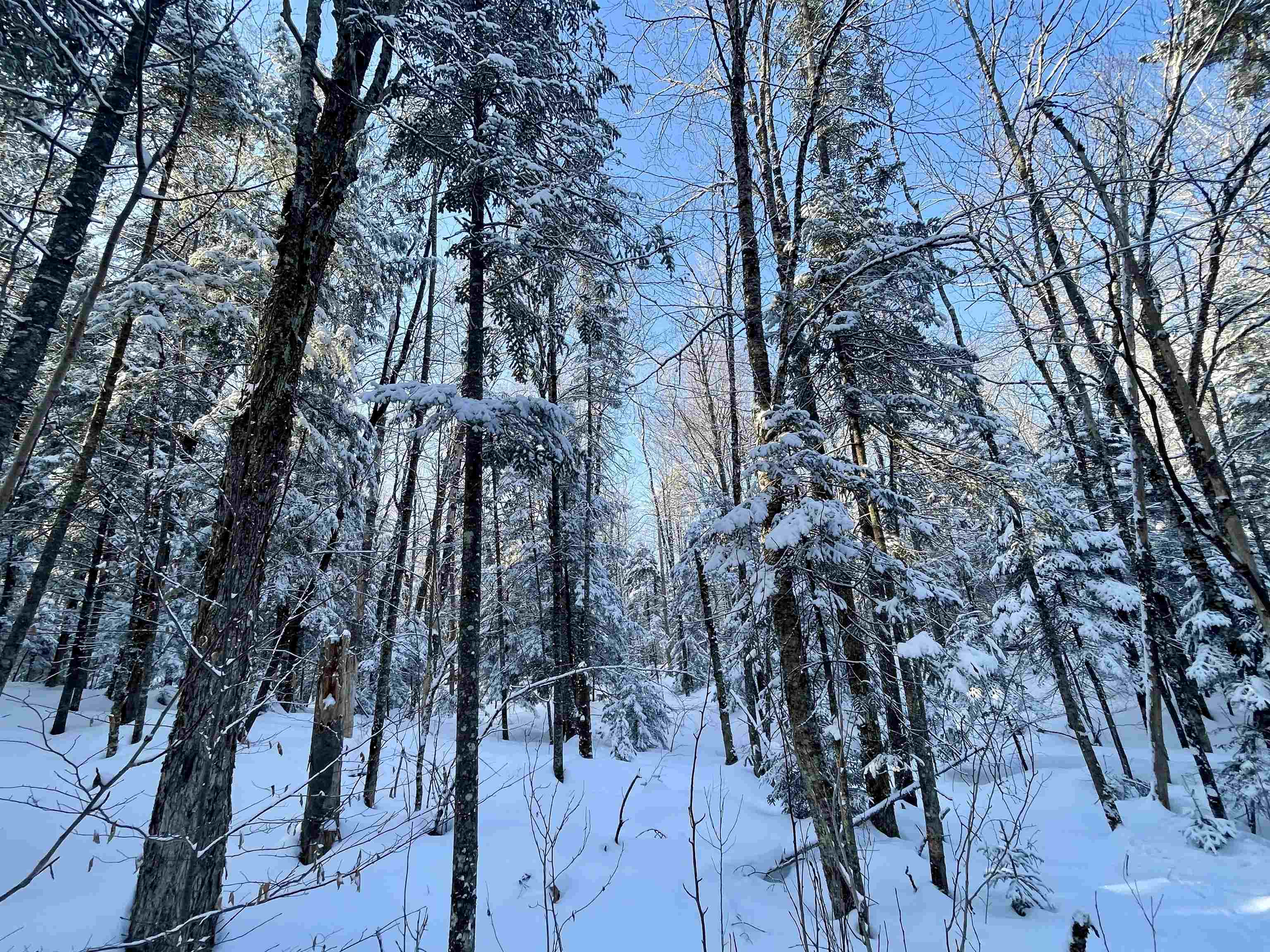 00 Mountain Road Property Photo 15