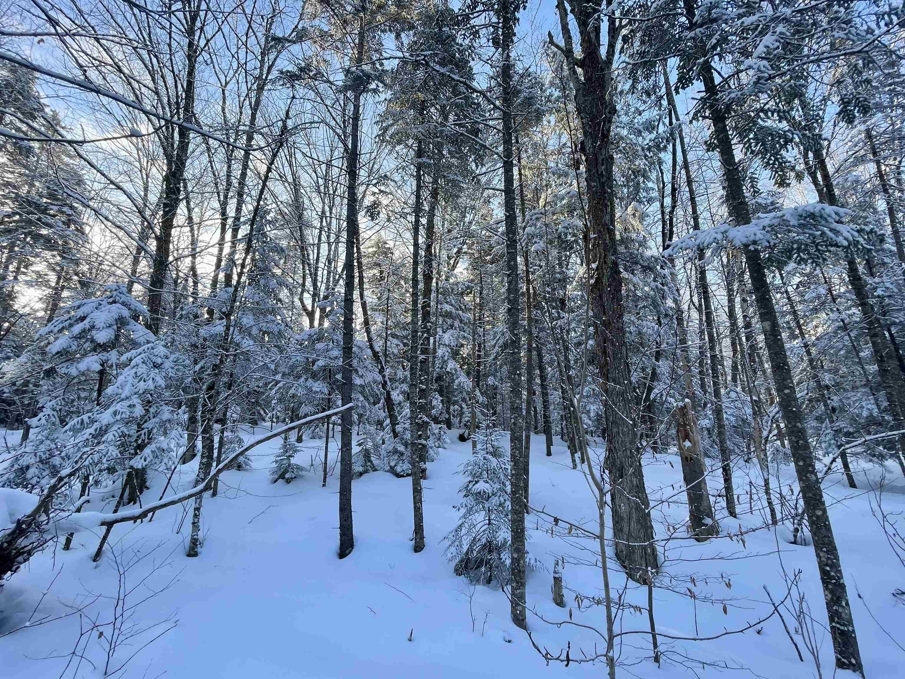 00 Mountain Road Property Photo 16