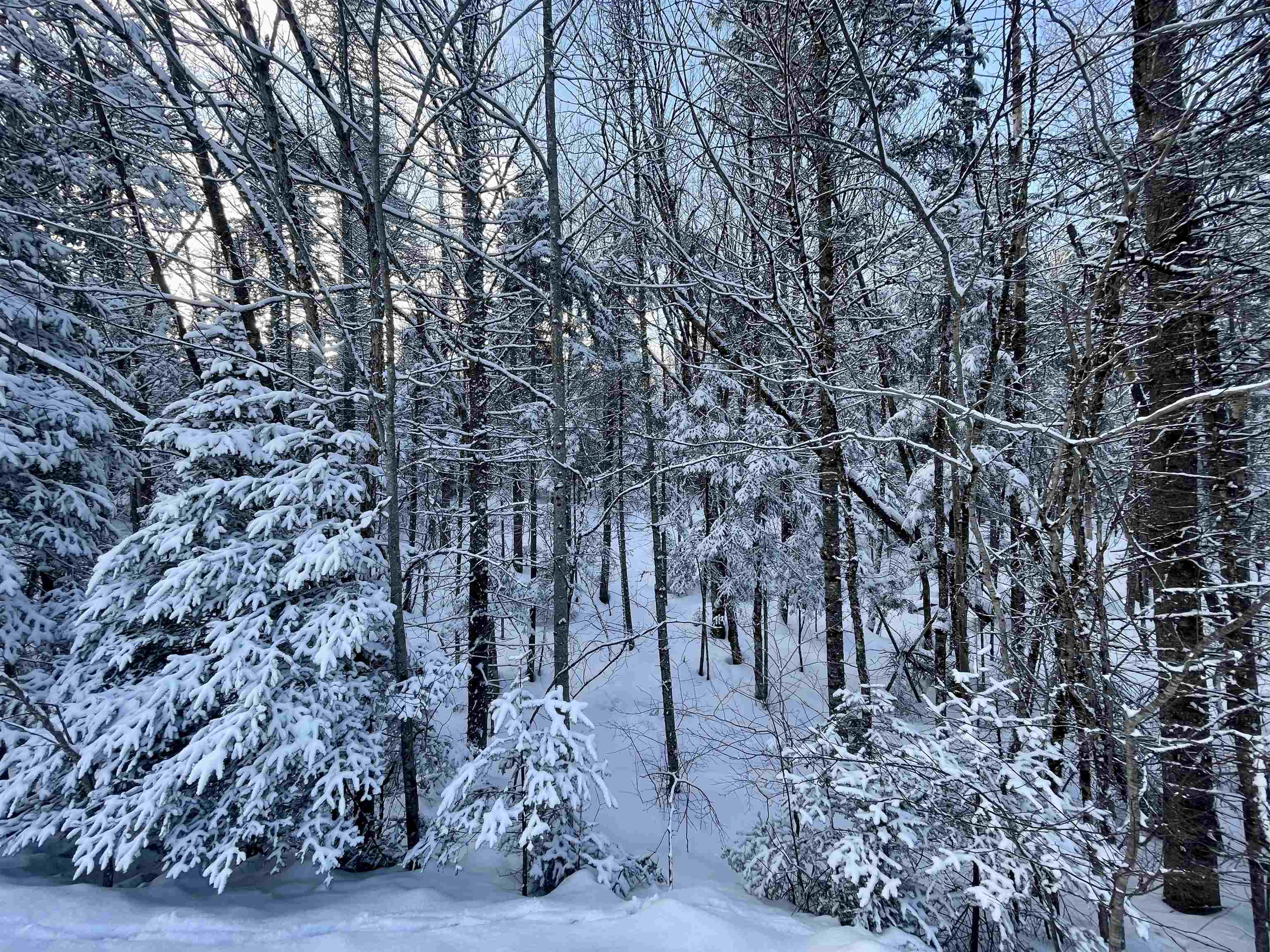 00 Mountain Road Property Photo 17
