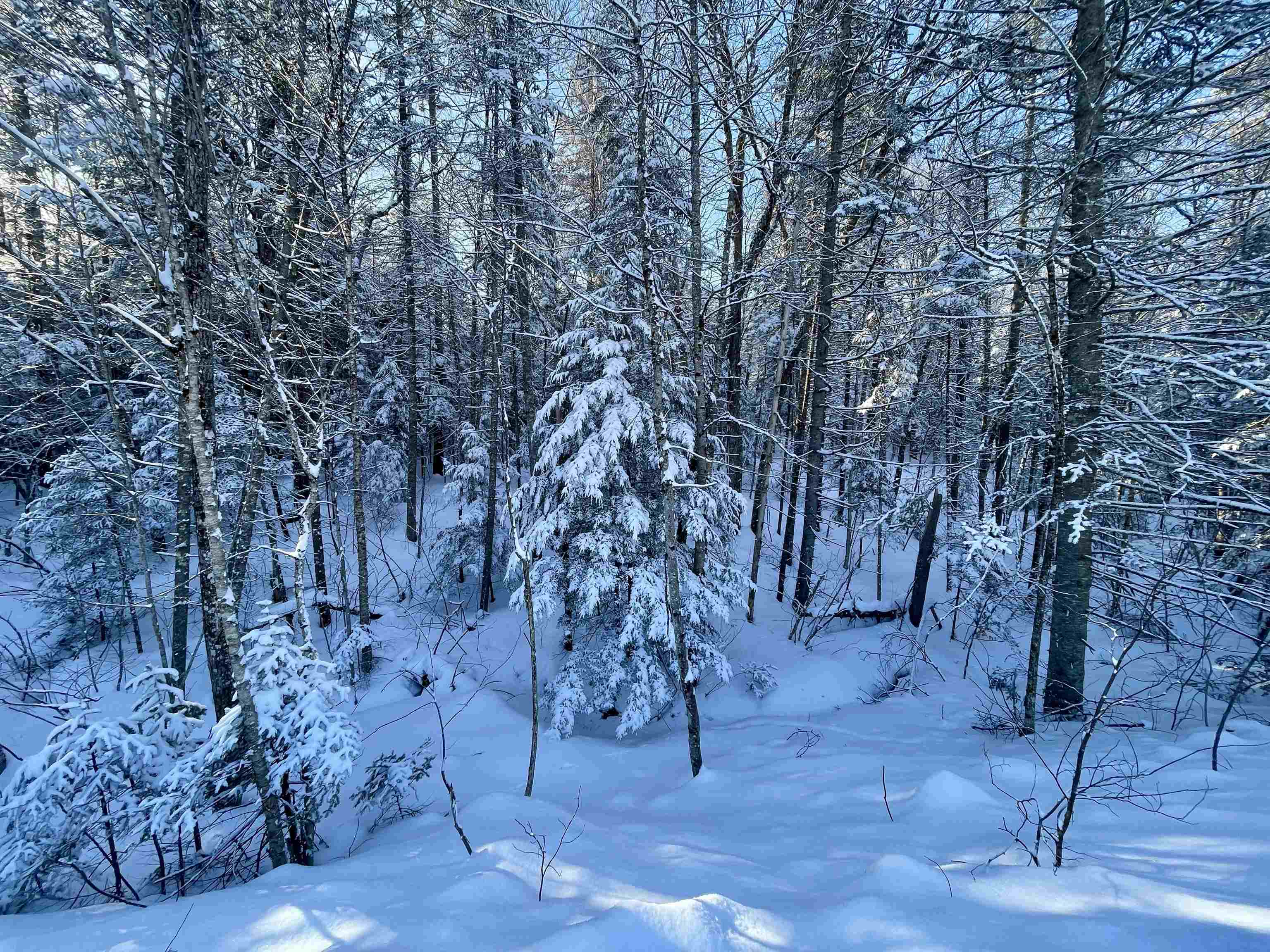 00 Mountain Road Property Photo 19